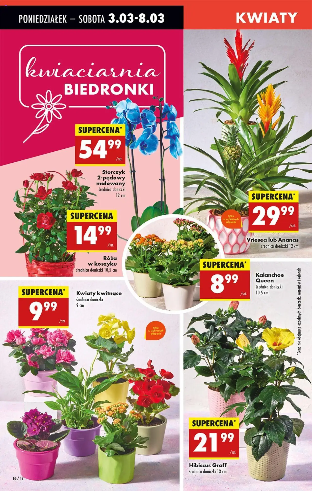 Biedronka gazetka ważna od 03.03.2025 do 08.03.2025 strona 21