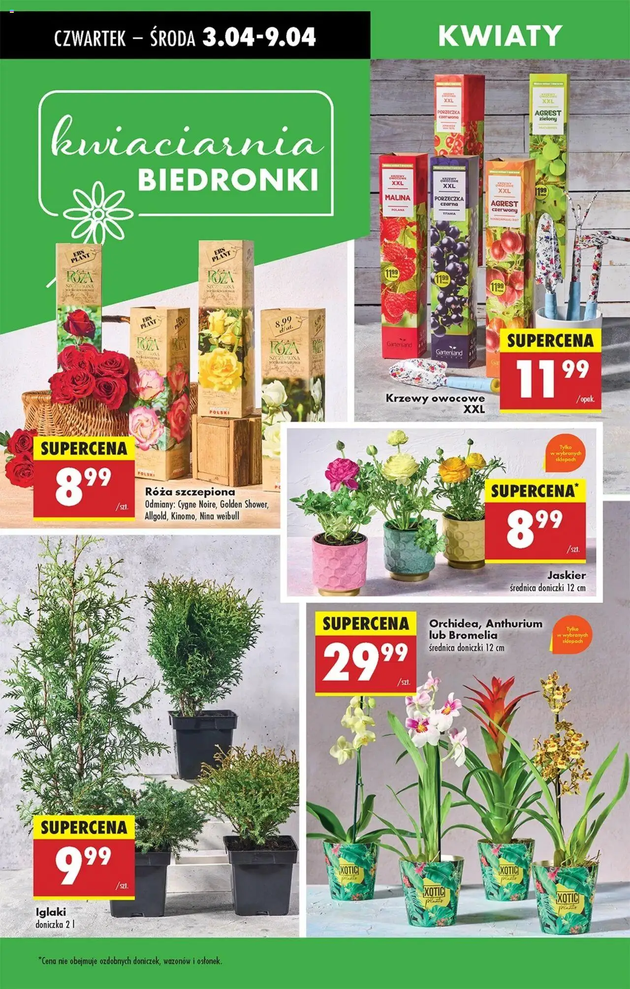 Biedronka gazetka ważna od 03.04.2025 do 09.04.2025 strona 61