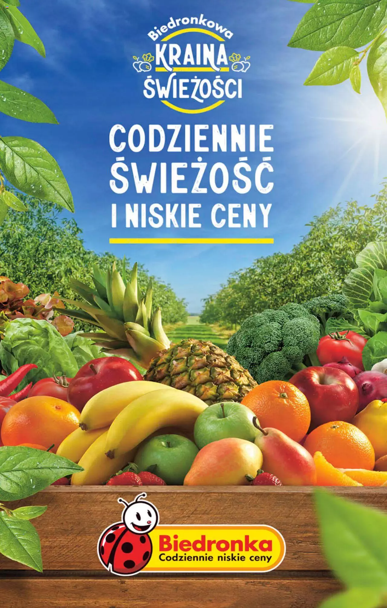 Biedronka gazetka ważna od 03.07.2023 do 08.07.2023 strona 48