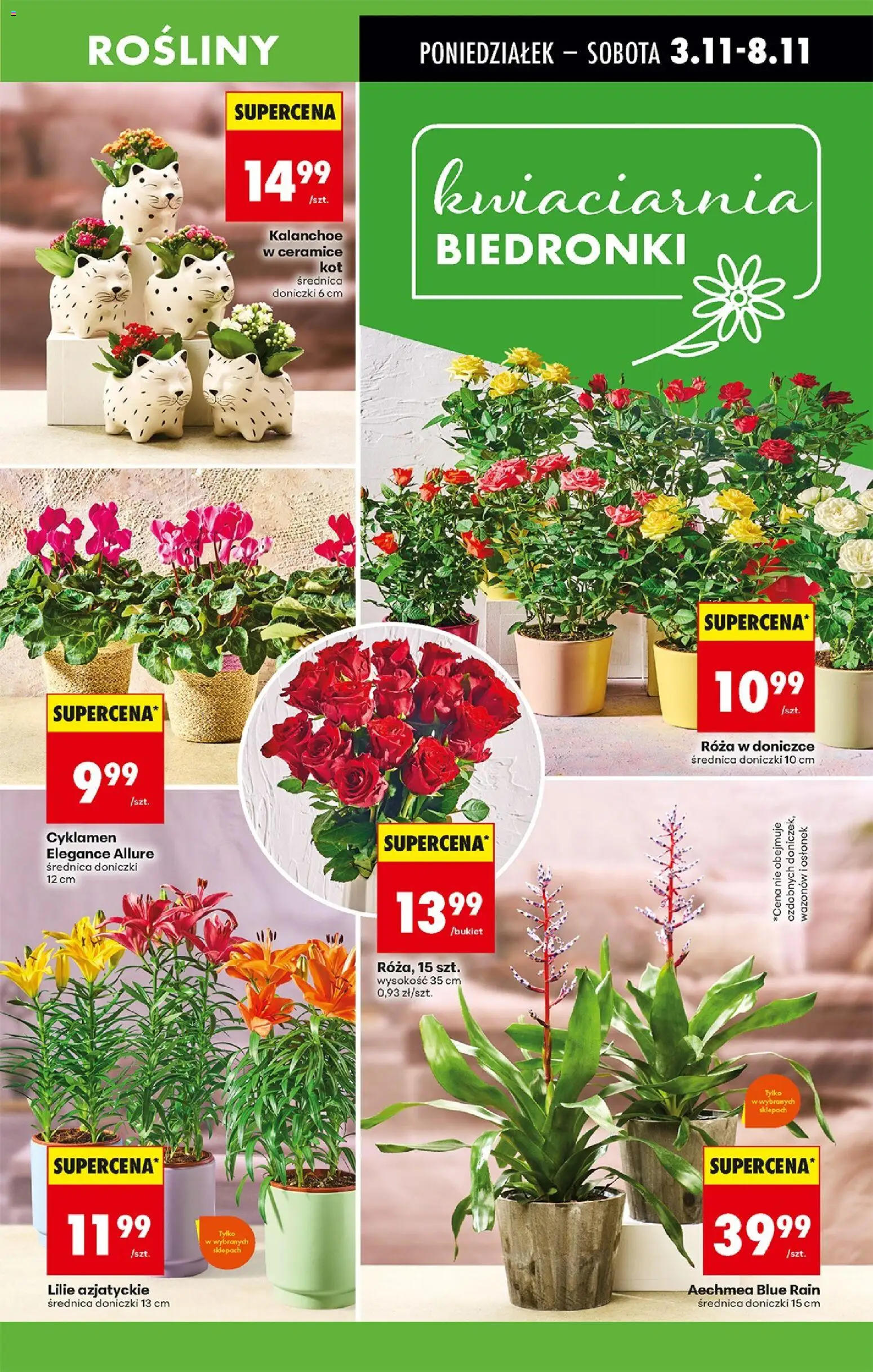 Biedronka gazetka ważna od  03.11.2025 do 08.11.2025 strona 17