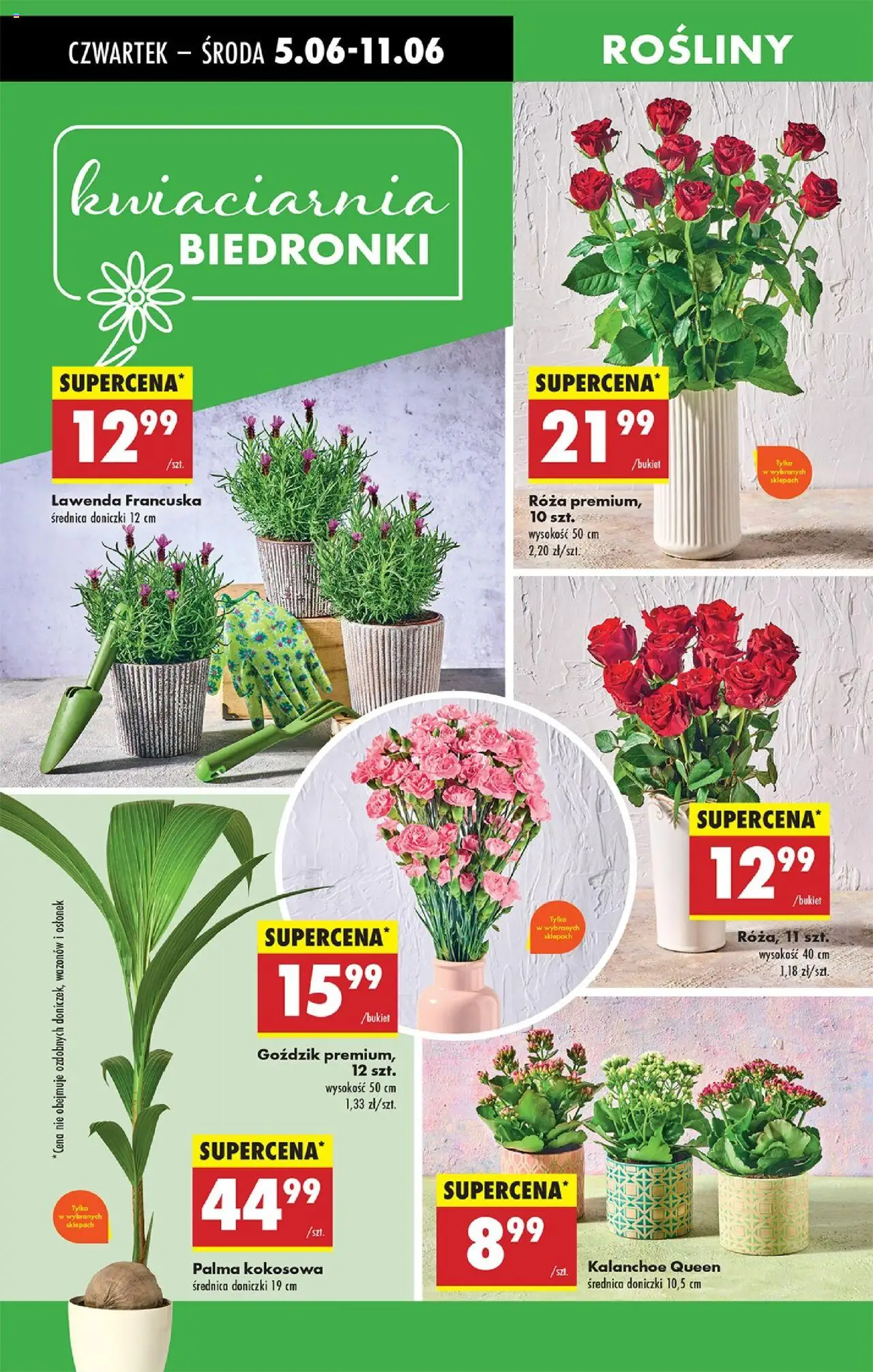 Biedronka gazetka ważna od  05.06.2025 do 11.06.2025 strona 66