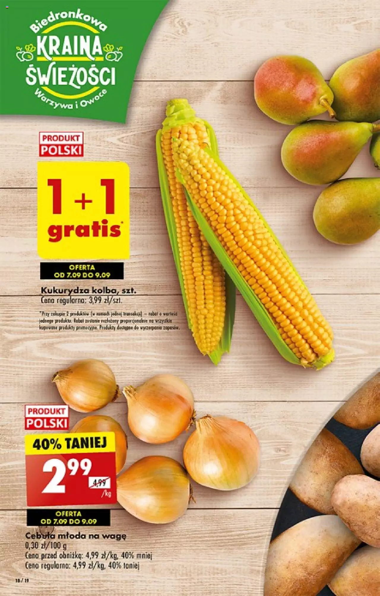 Biedronka gazetka ważna od 07.09.2023 do 13.09.2023 strona 18