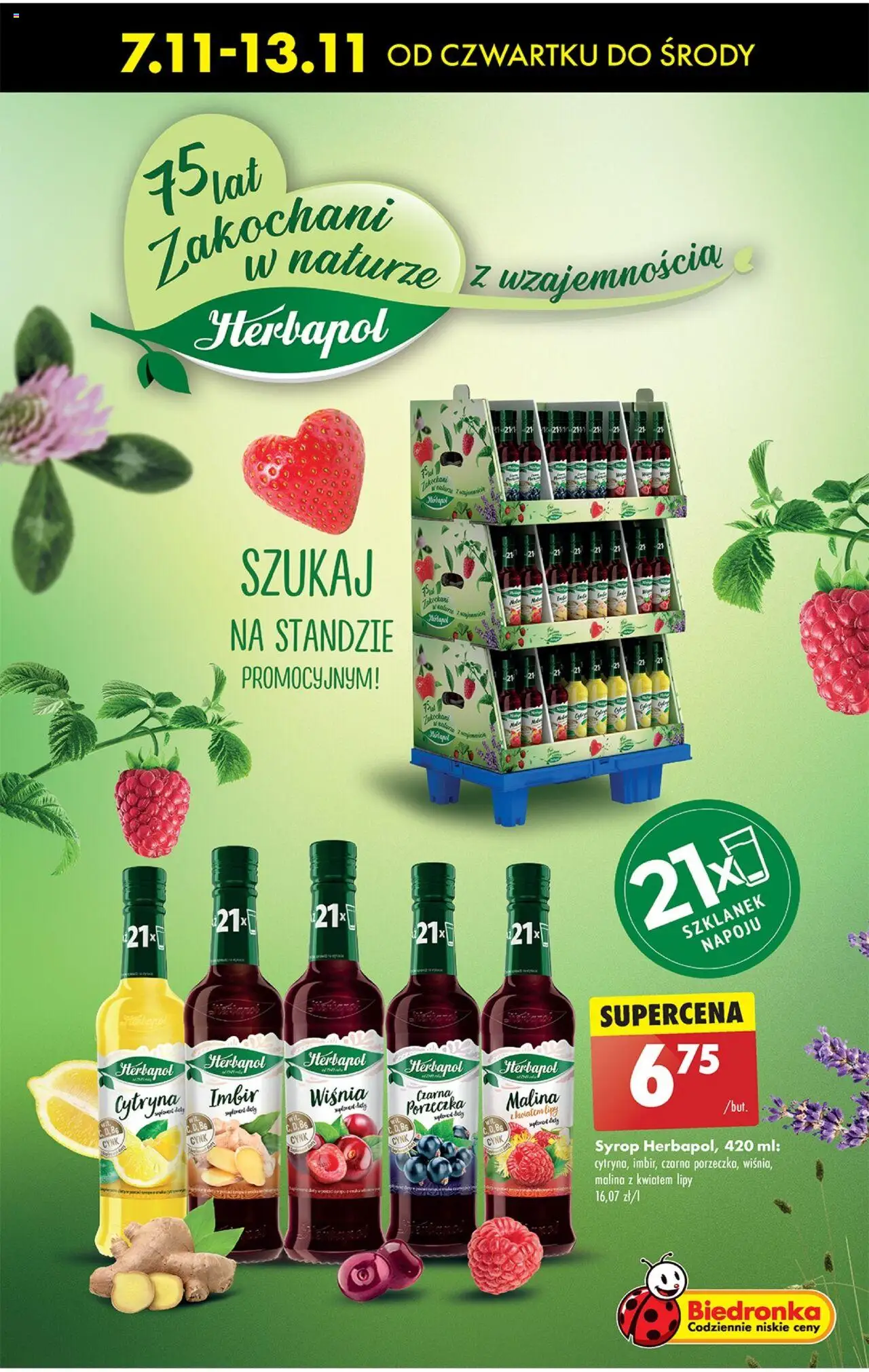 Biedronka gazetka ważna od 07.11.2024 do 13.11.2024 strona 49