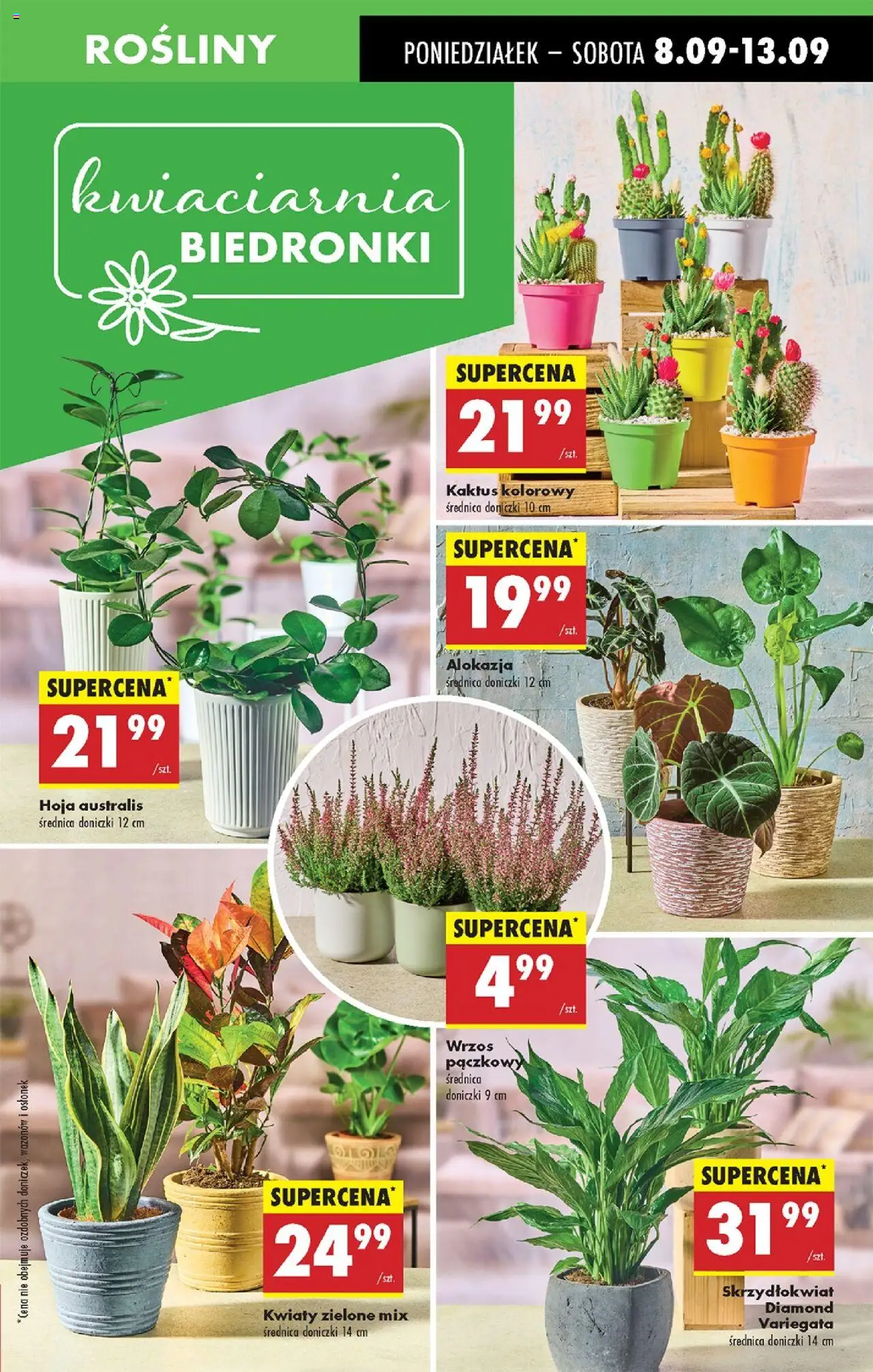 Biedronka  gazetka ważna od 08.09.2025 do  13.09.2025 strona 19