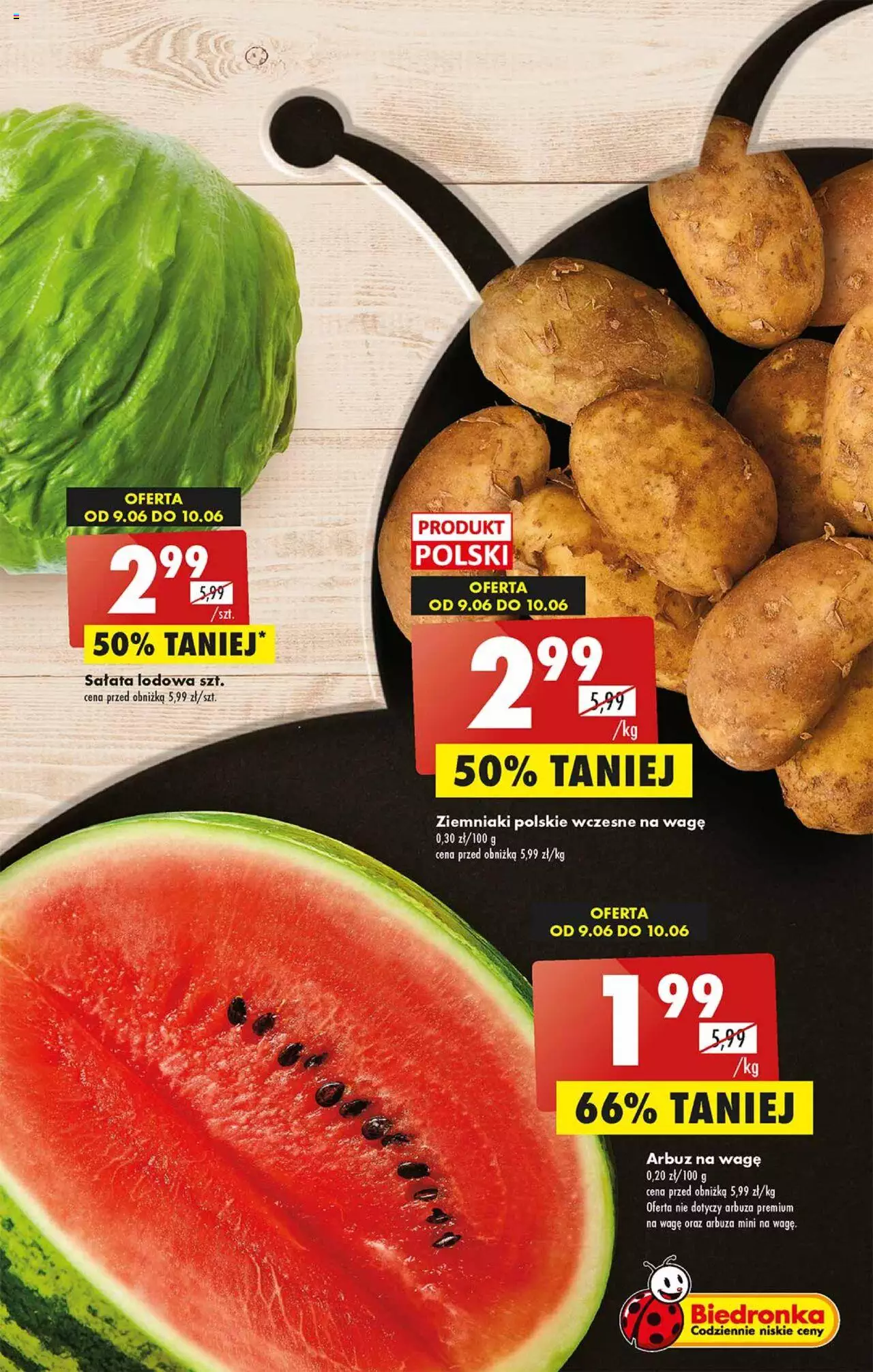 Biedronka gazetka ważna od 09.06.2023 do 14.06.2023 strona 19