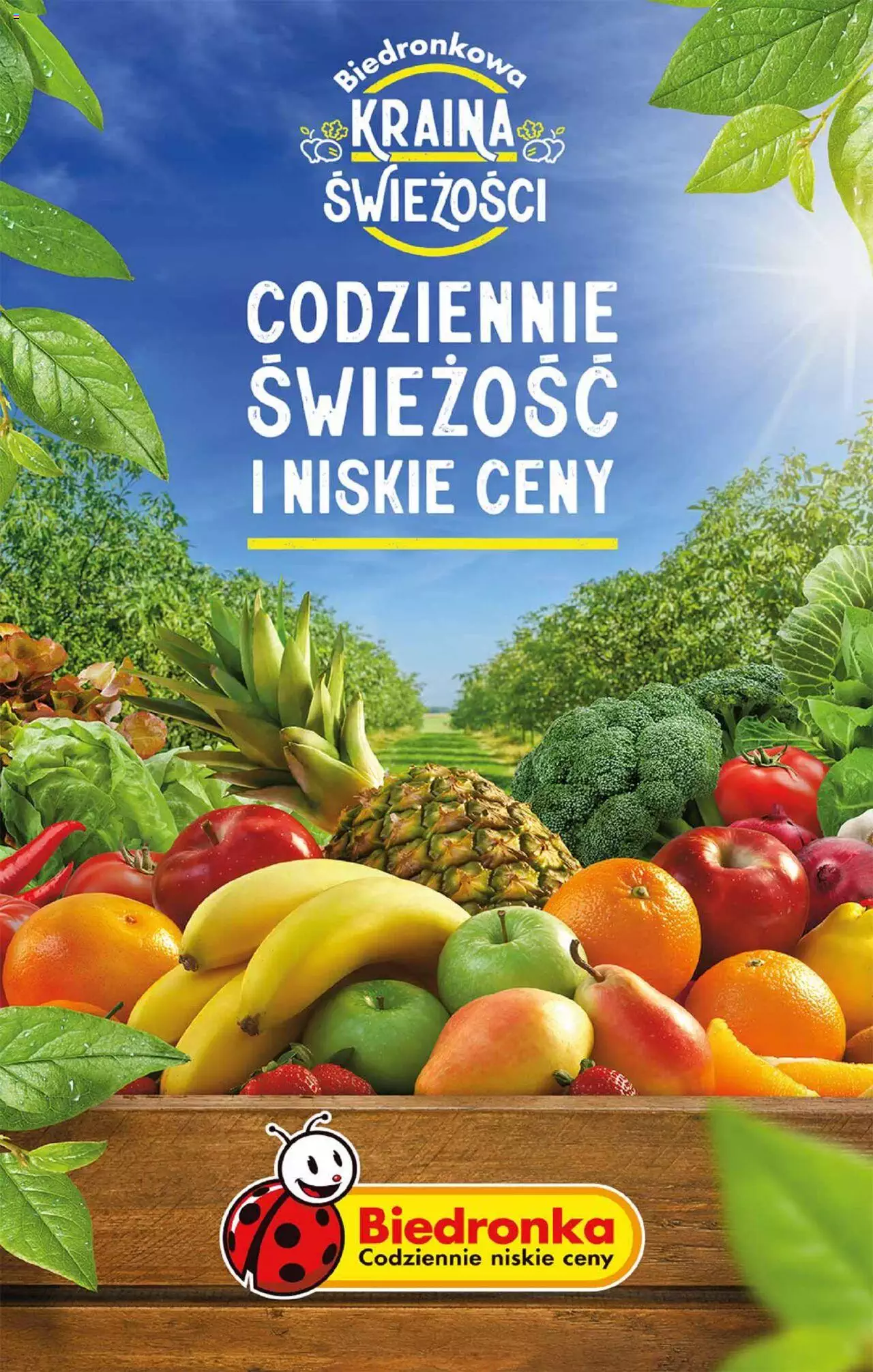 Biedronka gazetka ważna od 10.07.2023 do 15.07.2023 strona 57