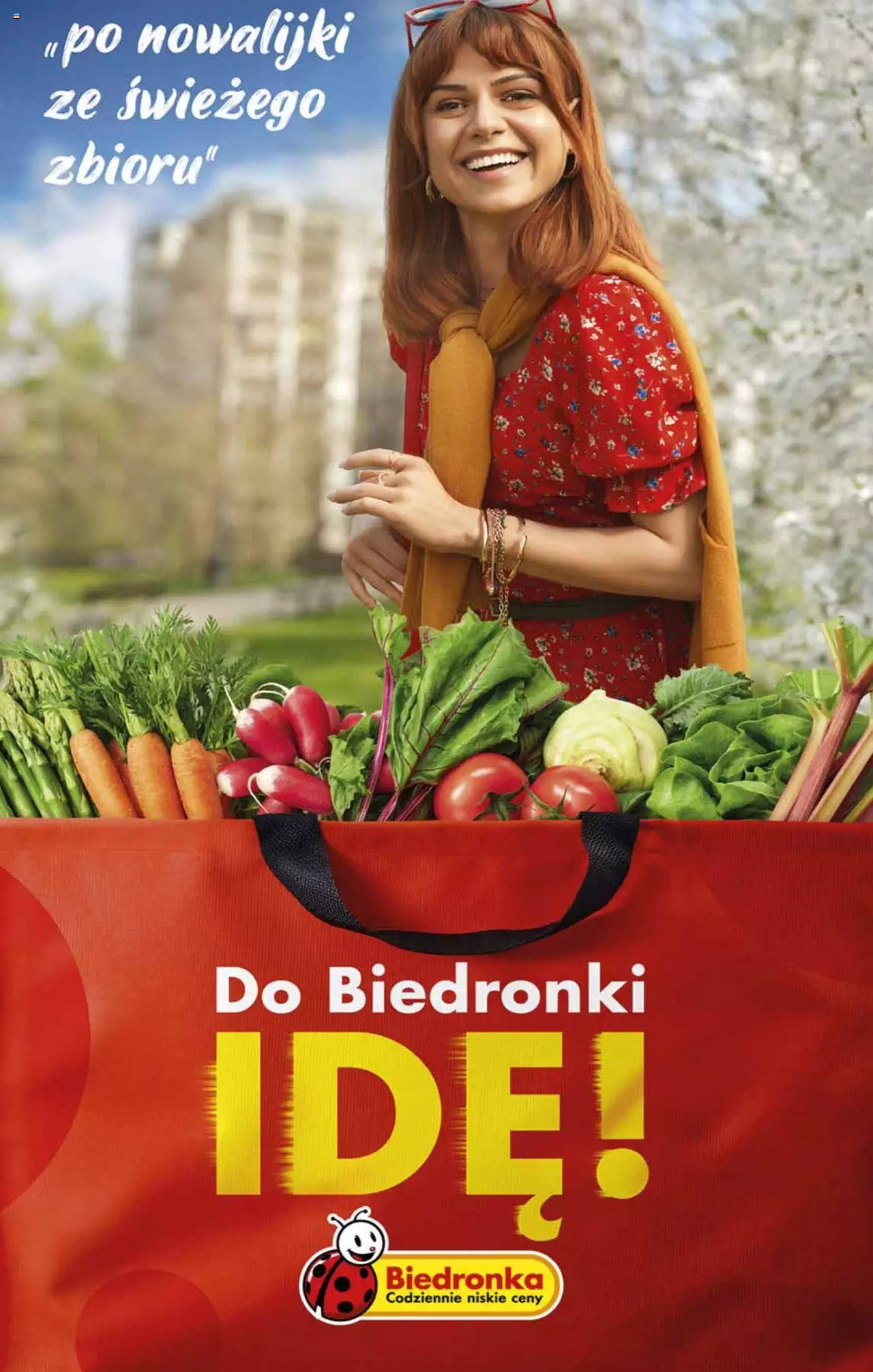 Biedronka gazetka ważna od 10.07.2023 do 15.07.2023 strona 58
