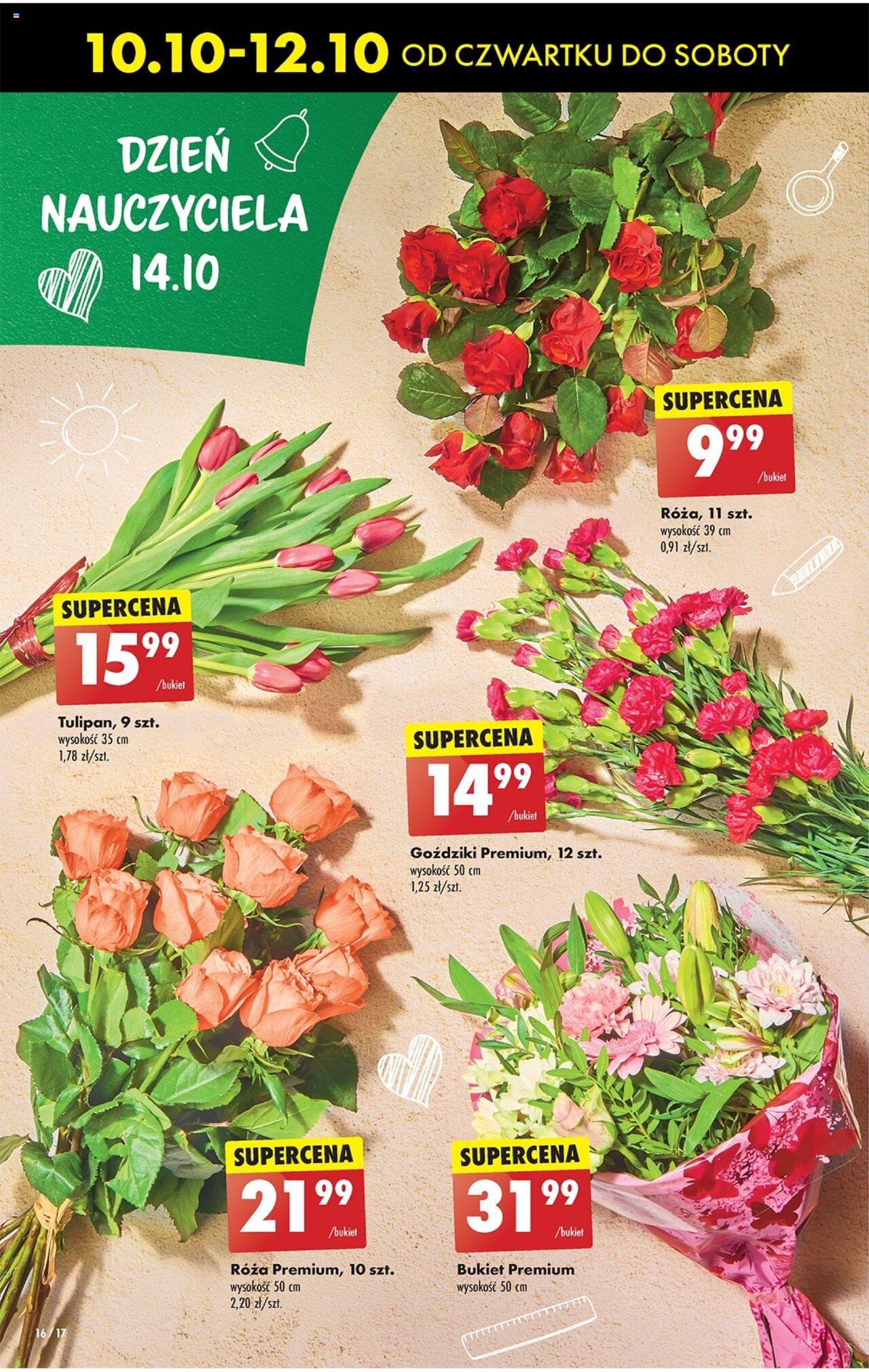 Biedronka gazetka ważna od 10.10.2024 do 16.10.2024 strona 17