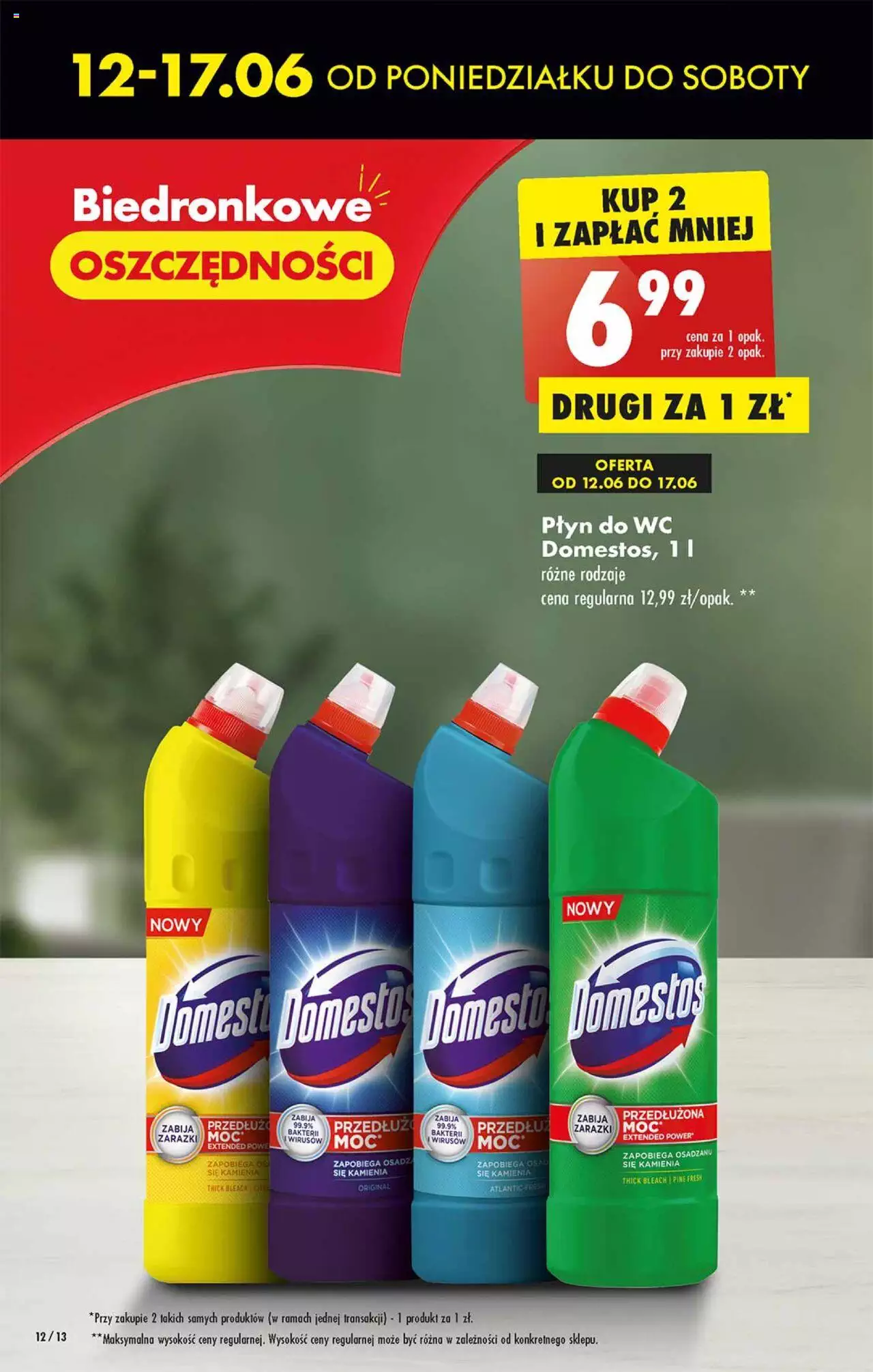 Biedronka gazetka ważna od 12.06.2023 do 17.06.2023 strona 12