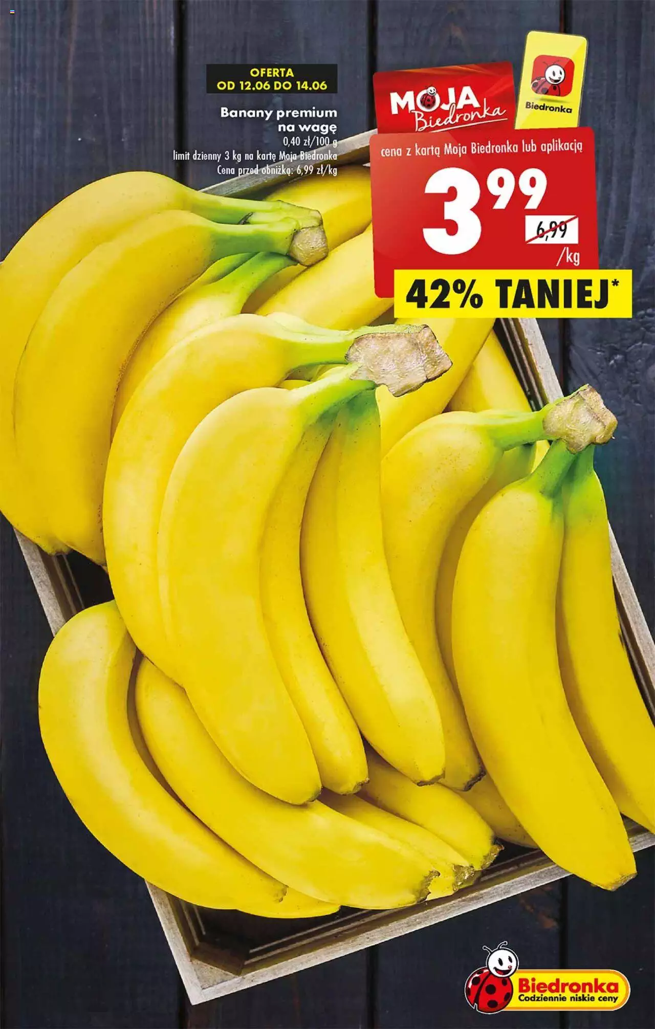 Biedronka gazetka ważna od 12.06.2023 do 17.06.2023 strona 17