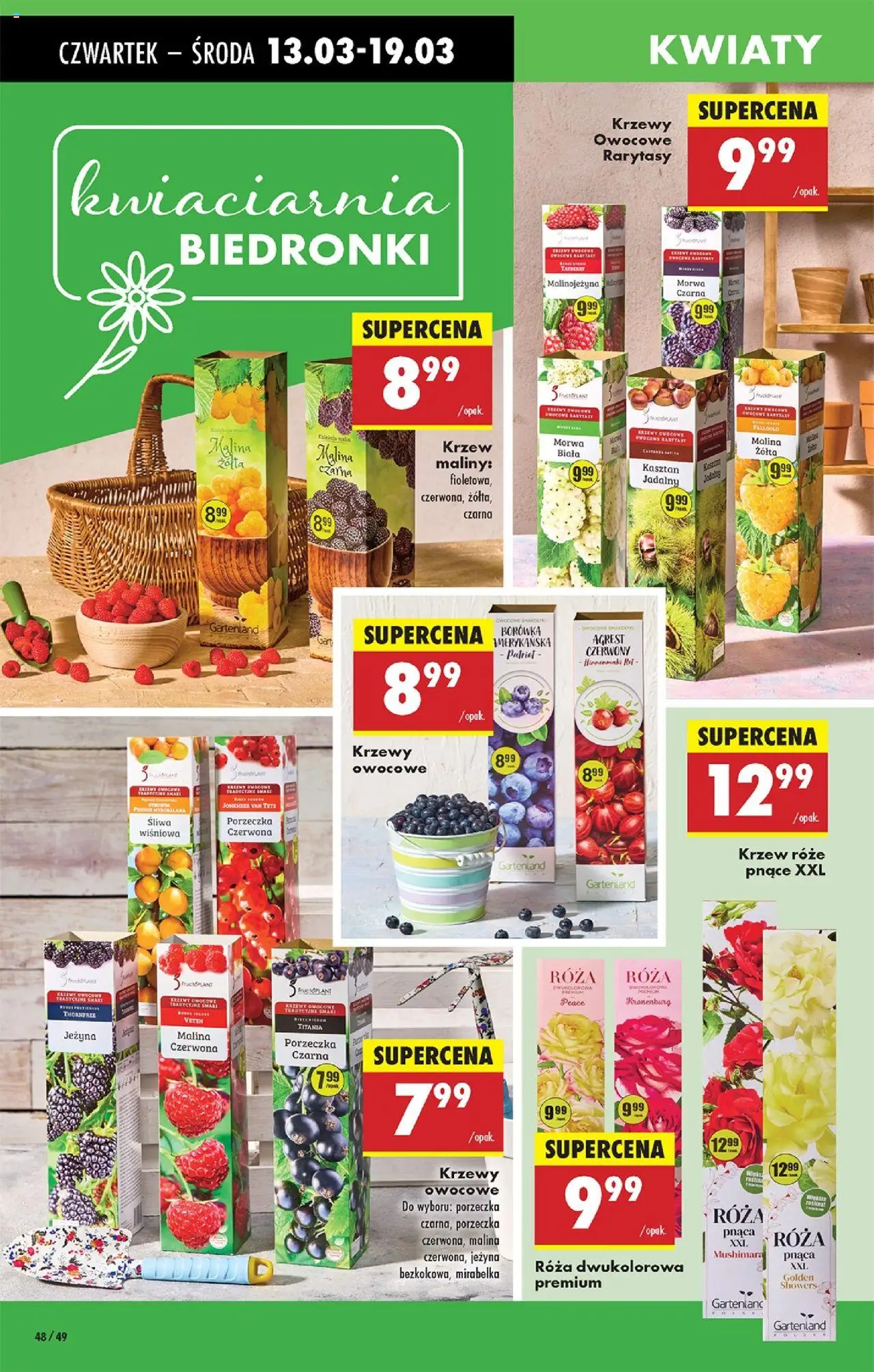 Biedronka gazetka ważna od  13.03.2025 do 19.03.2025 strona 47