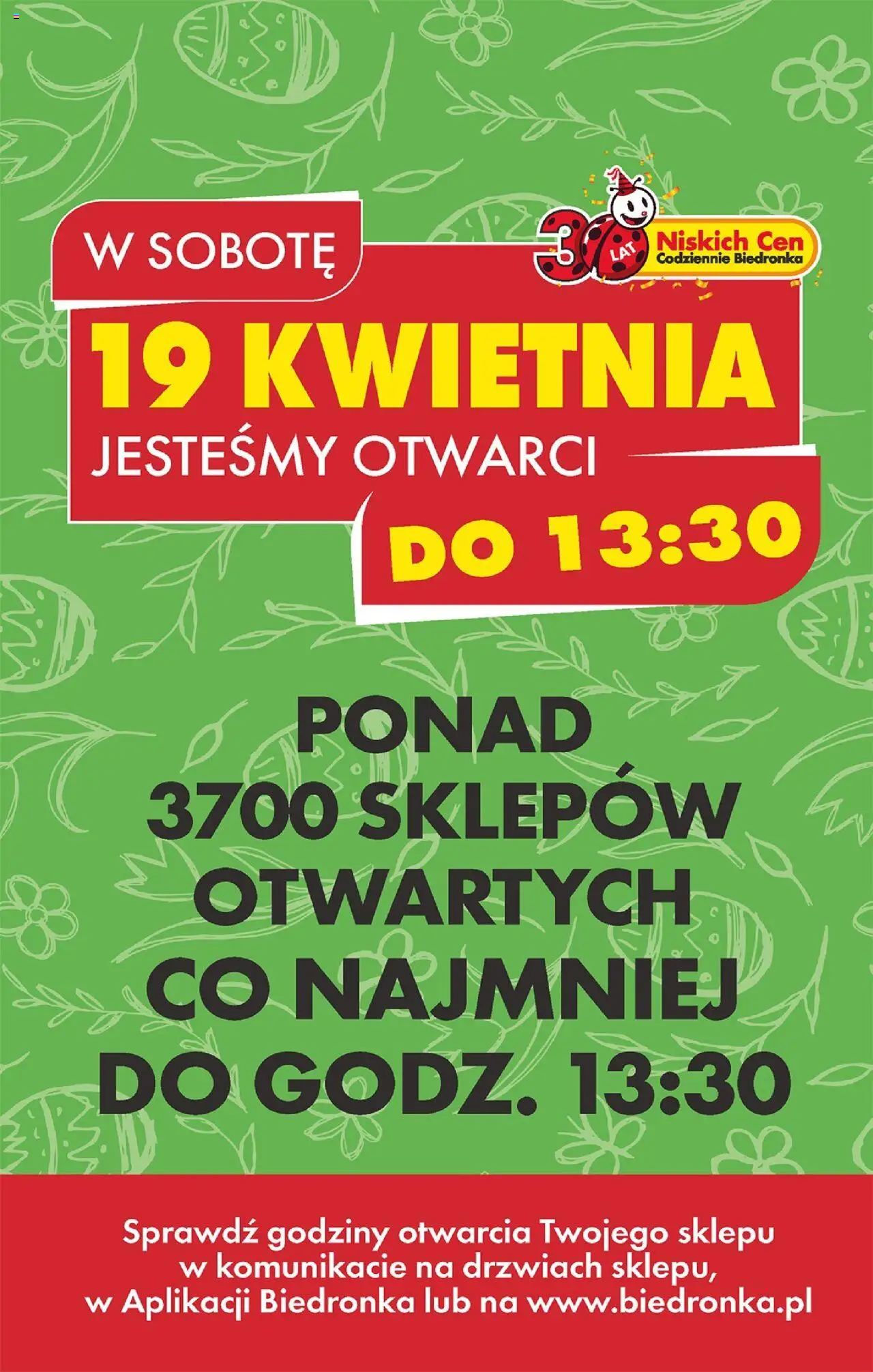 Biedronka gazetka ważna od 14.04.2025 do 19.04.2025 strona 2