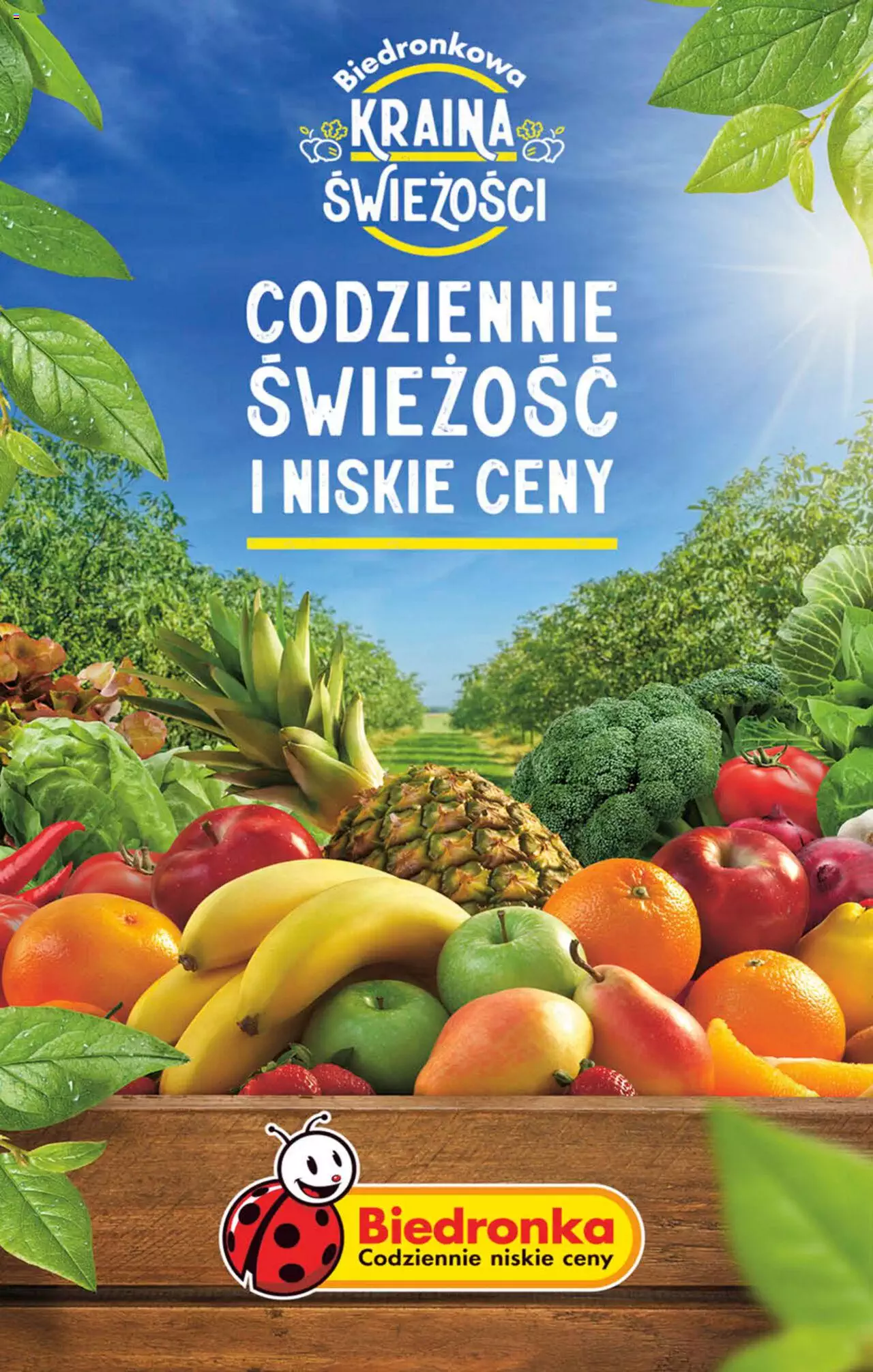 Biedronka gazetka ważna od 14.08.2023 do 19.08.2023 strona 52