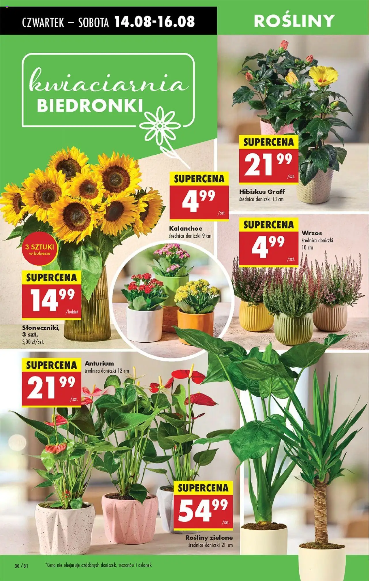 Biedronka gazetka ważna od  14.08.2025 do 20.08.2025 strona 36