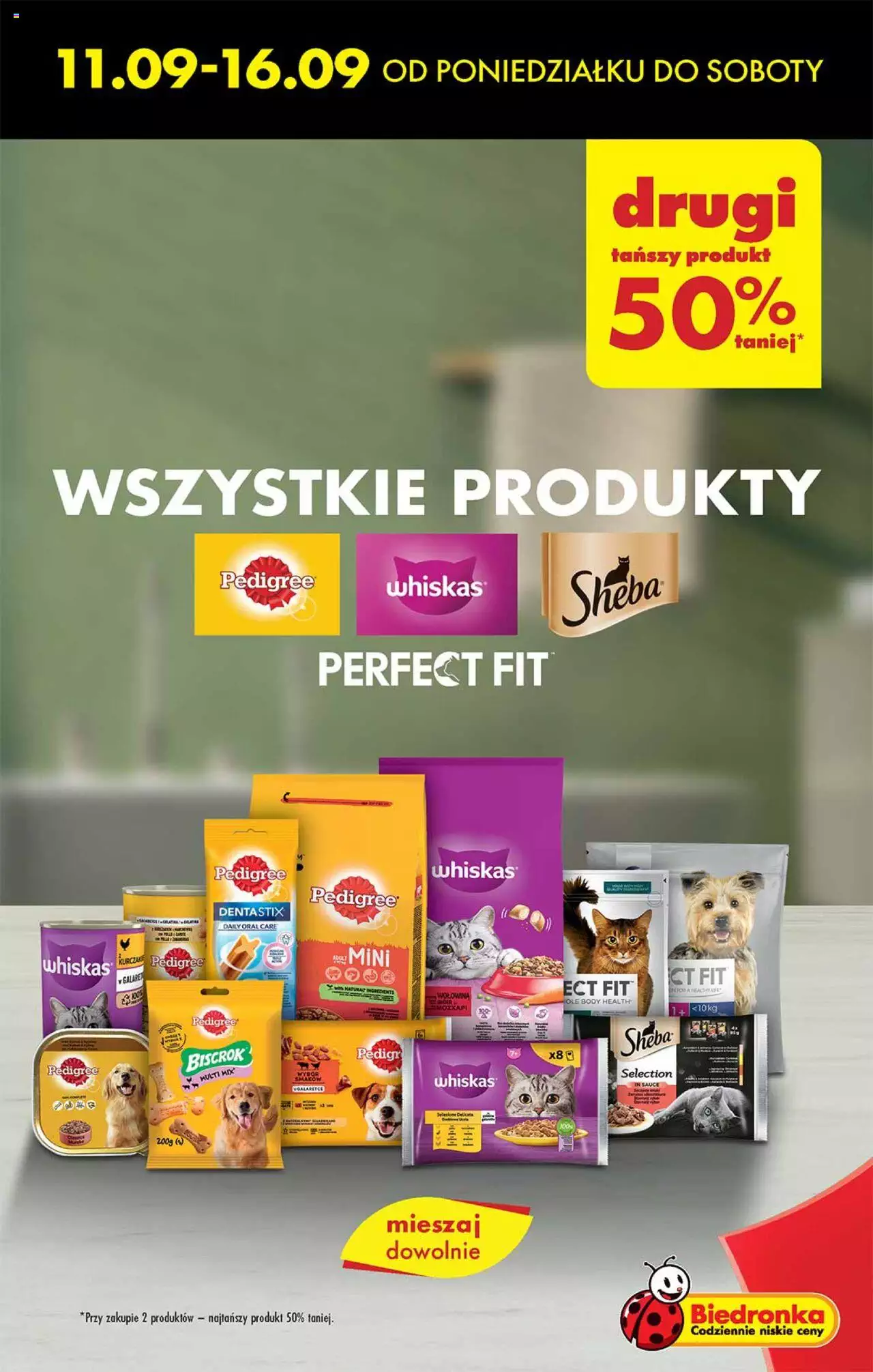 Biedronka gazetka ważna od  14.09.2023 do 20.09.2023 strona 15