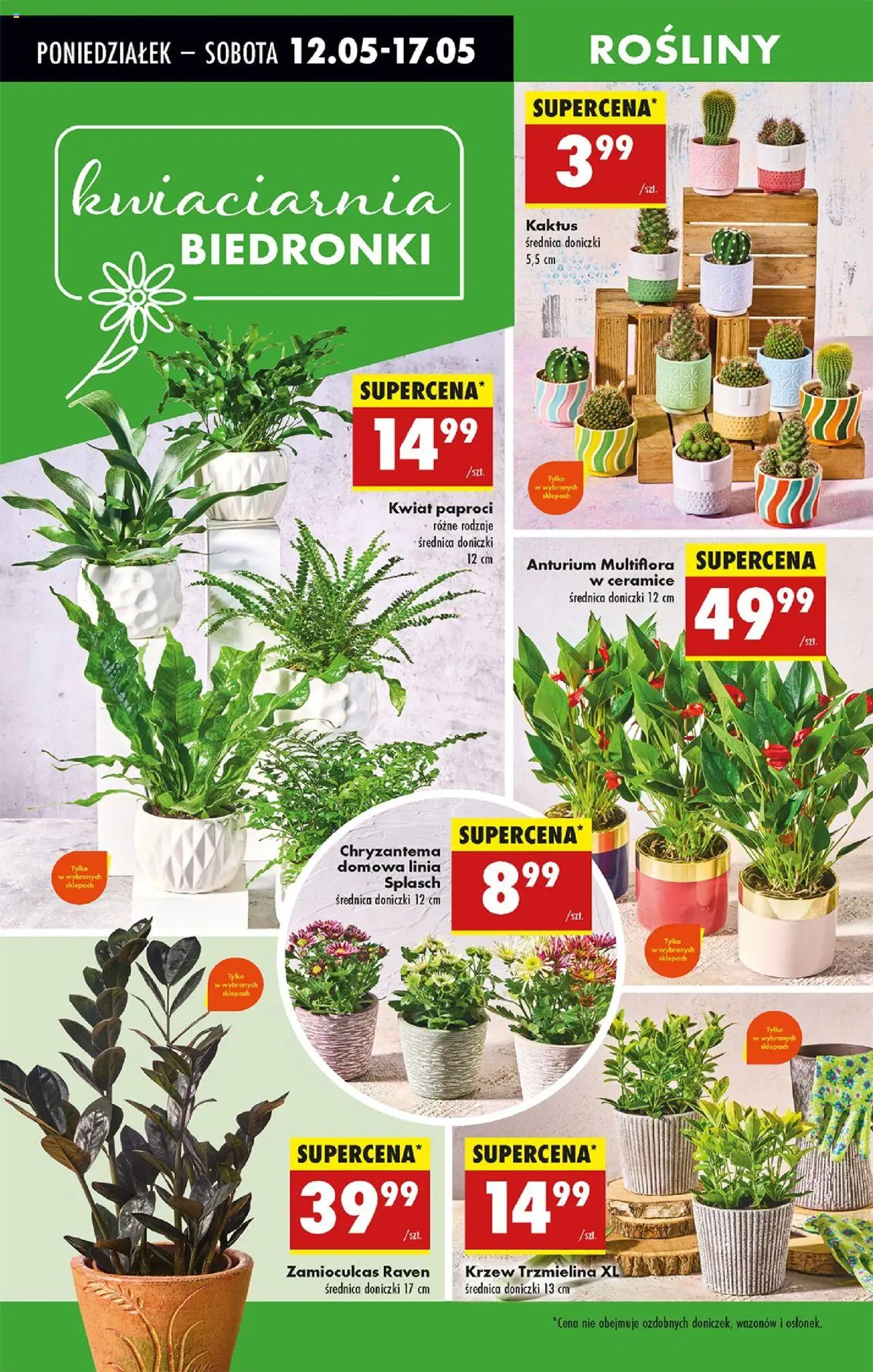 Biedronka gazetka ważna od 15.05.2025 do 21.05.2025 strona 17