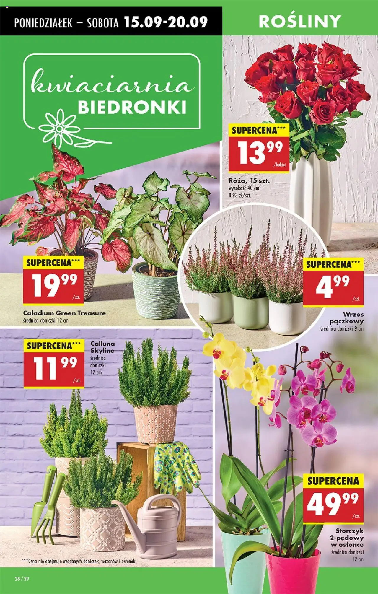 Biedronka gazetka ważna od 15.09.2025 do 20.09.2025 strona 34