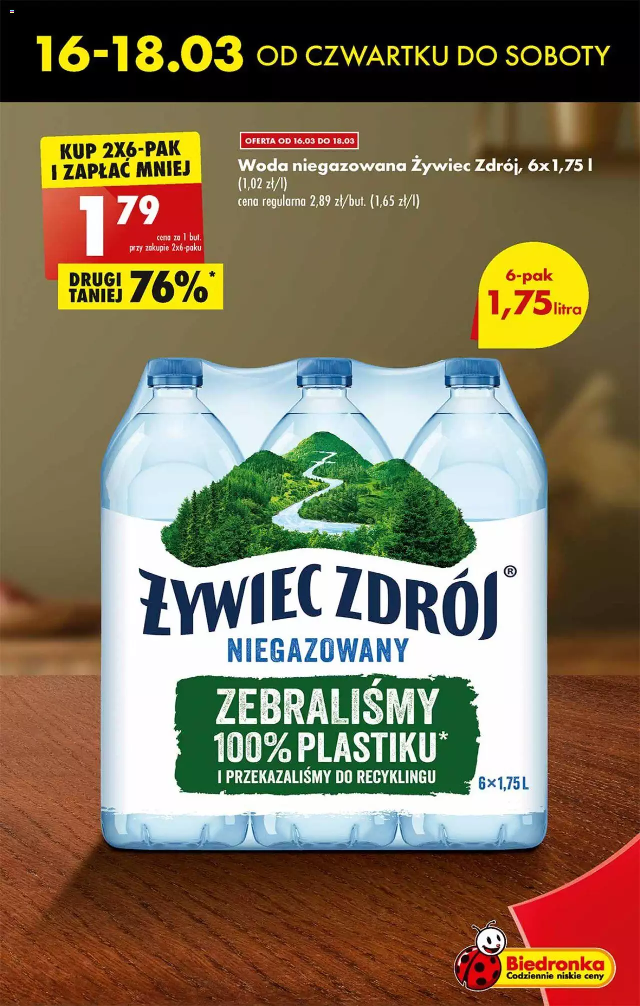 Biedronka gazetka ważna od 16.03.2023 do 22.03.2023 strona 13