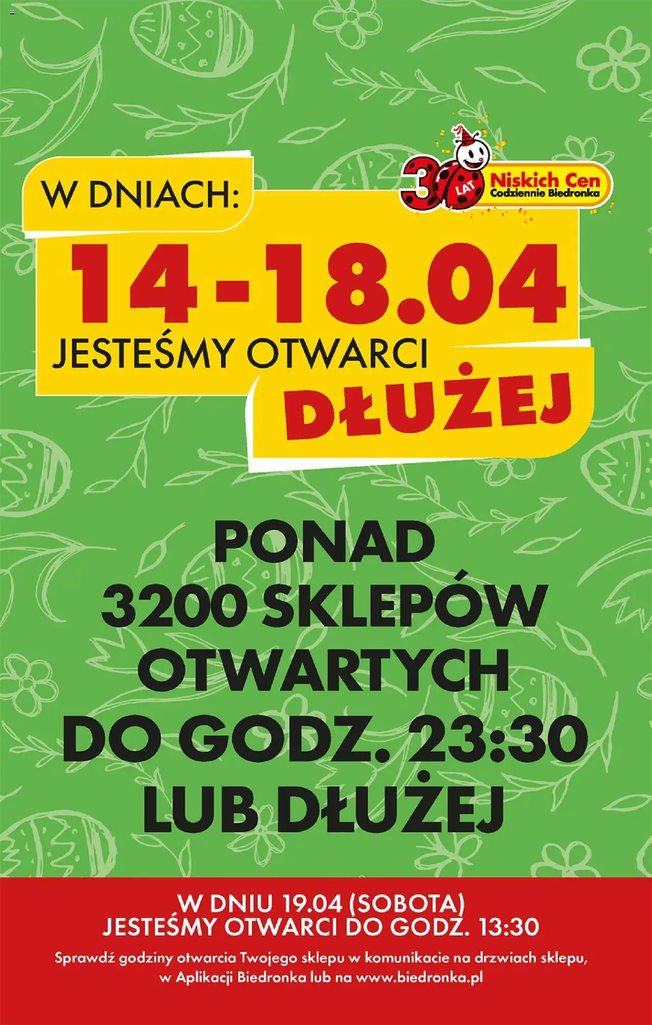 Biedronka gazetka ważna od 17.04.2025 do 23.04.2025 strona 6