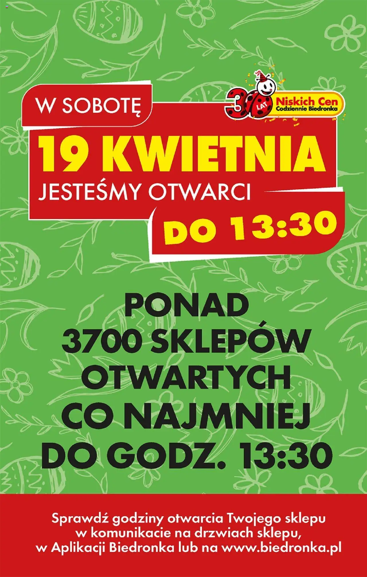 Biedronka gazetka ważna od 17.04.2025 do 23.04.2025 strona 7
