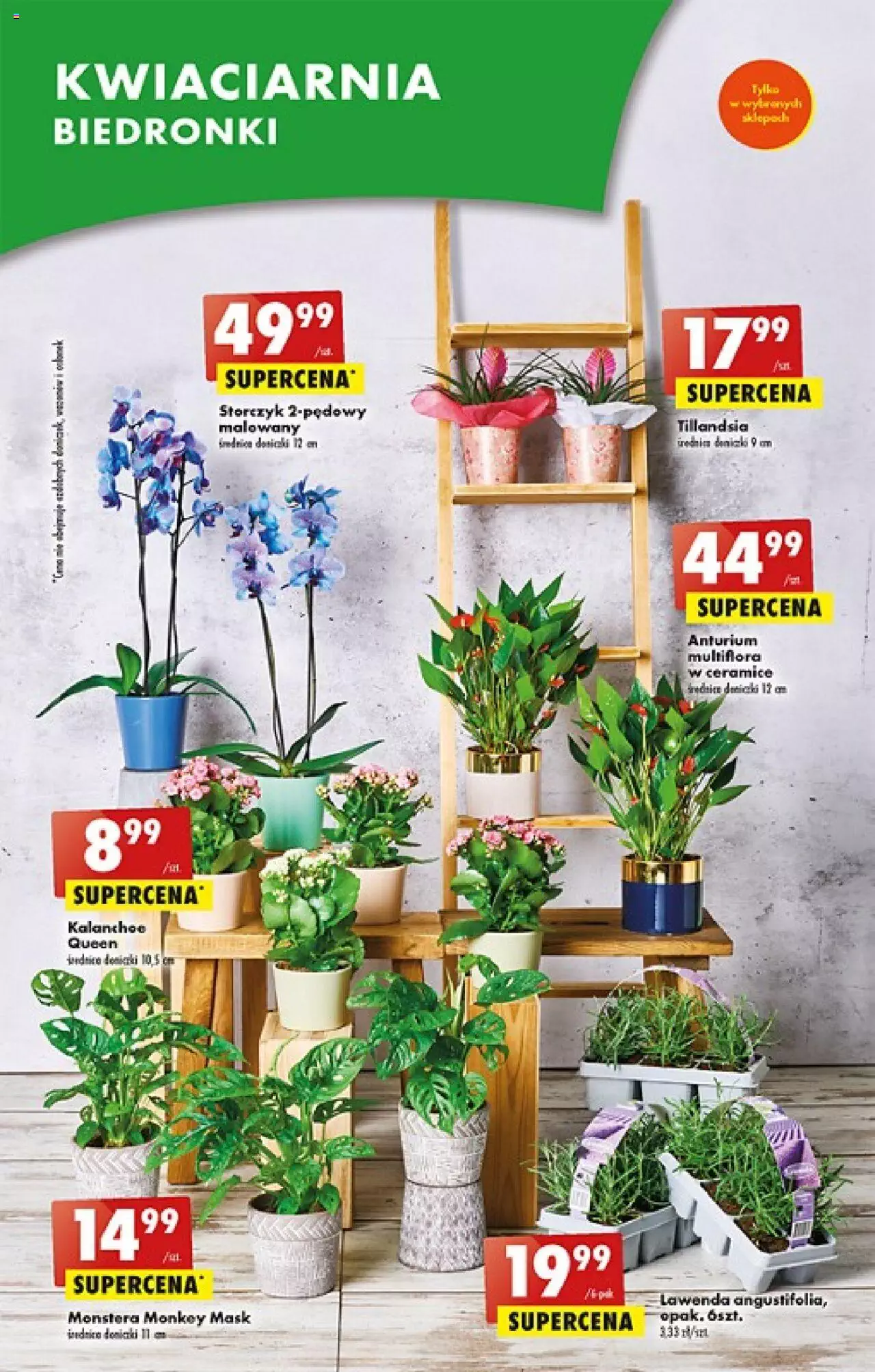 Biedronka gazetka ważna od 18.05.2023 do 24.05.2023 strona 21