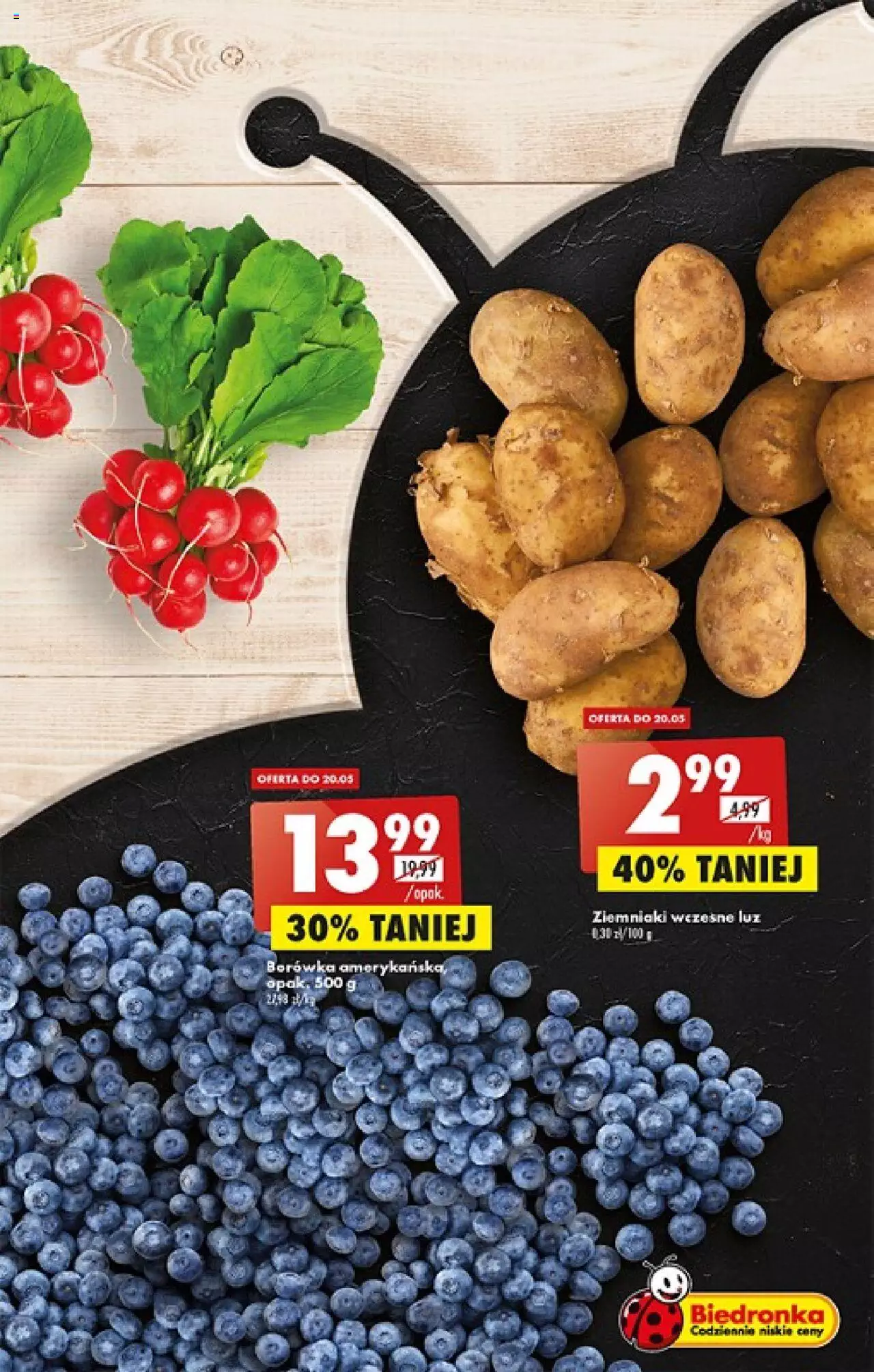Biedronka gazetka ważna od 18.05.2023 do 24.05.2023 strona 25