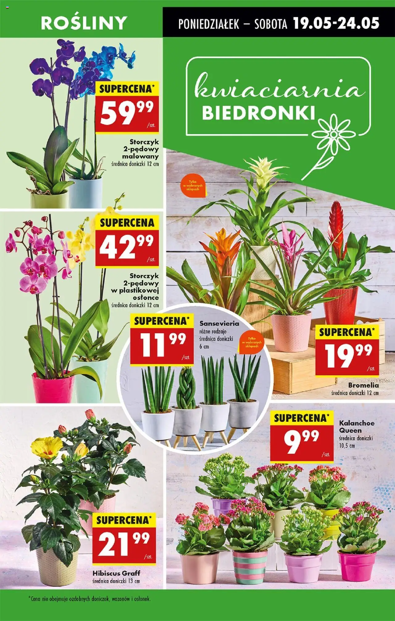 Biedronka gazetka ważna od  19.05.2025 do 24.05.2025 strona 19