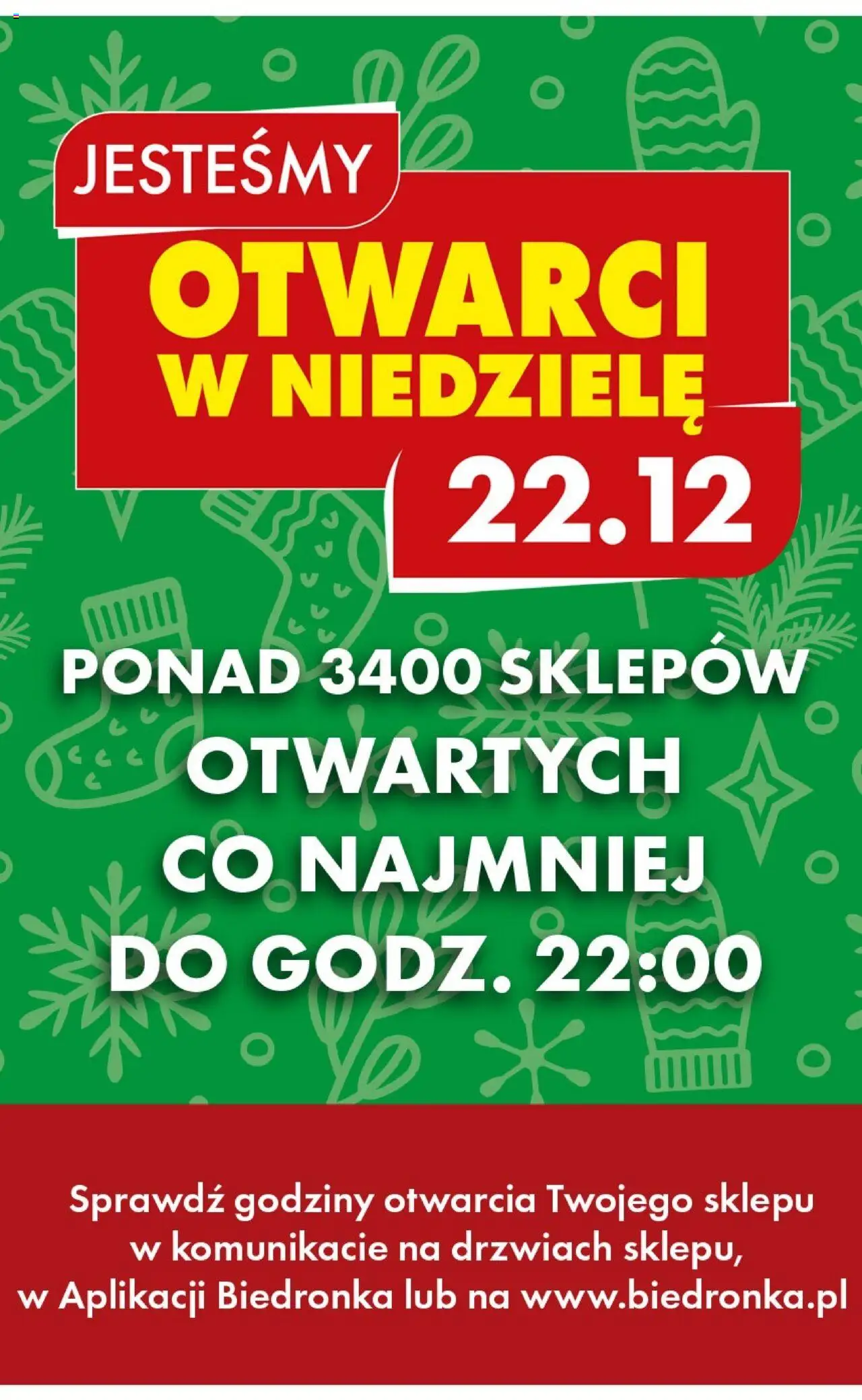 Biedronka gazetka ważna od 19.12.2024 do 24.12.2024 strona 17