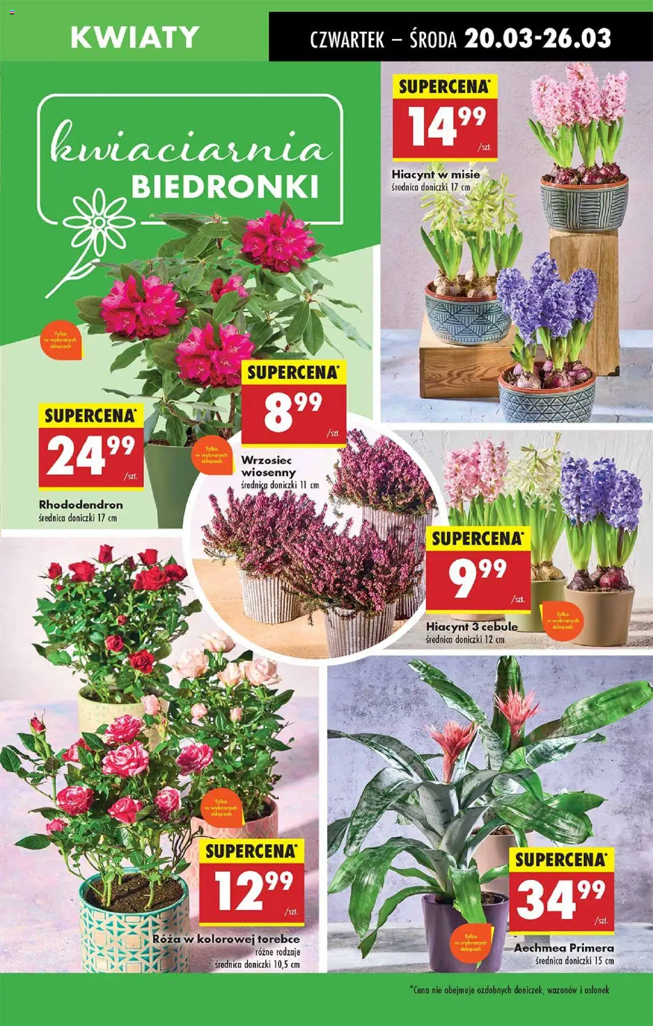 Biedronka gazetka ważna  od 20.03.2025 do 26.03.2025 strona 19