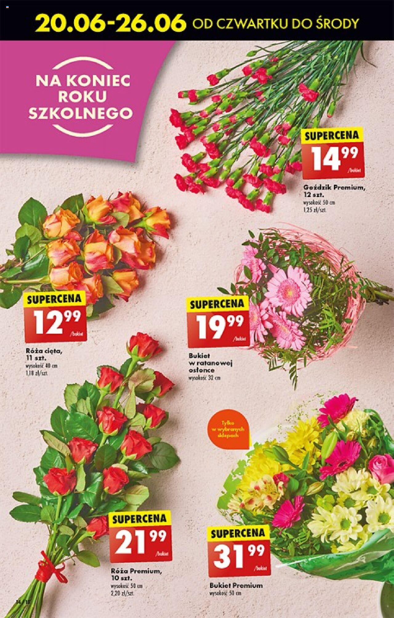 Biedronka gazetka ważna od 20.06.2024 do 26.06.2024 strona 16