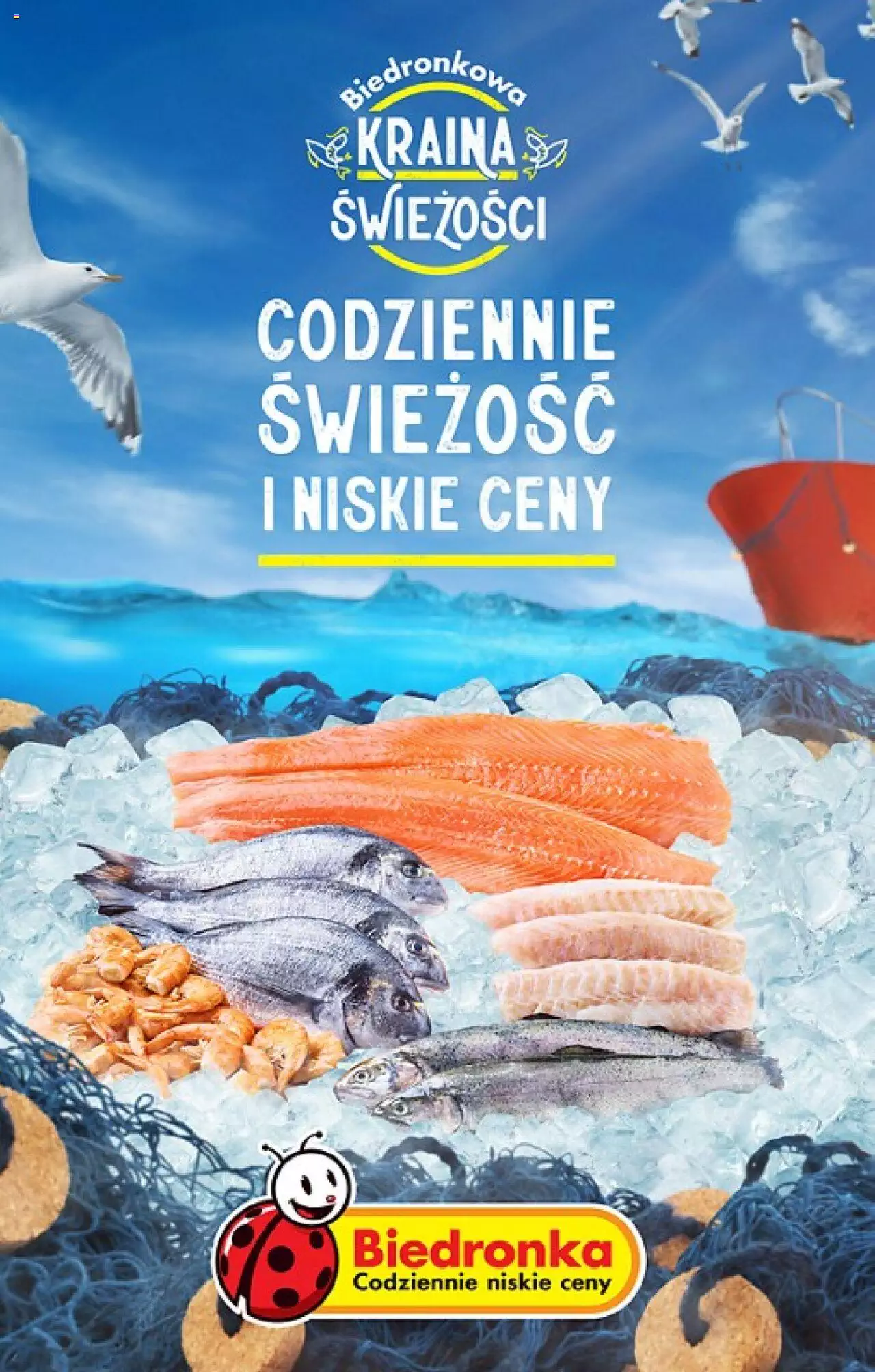 Biedronka gazetka ważna od 21.09.2023 do 27.09.2023 strona 59