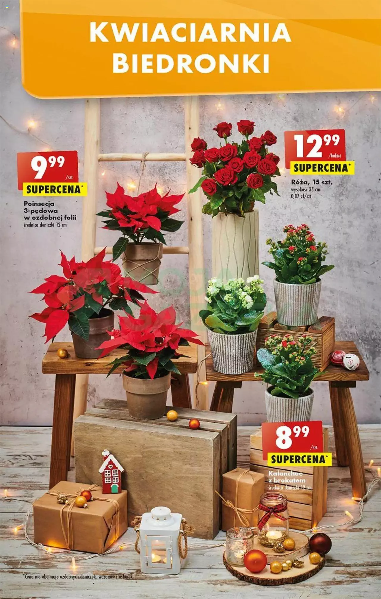 Biedronka gazetka ważna od 21.11.2022 do 26.11.2022 strona 17