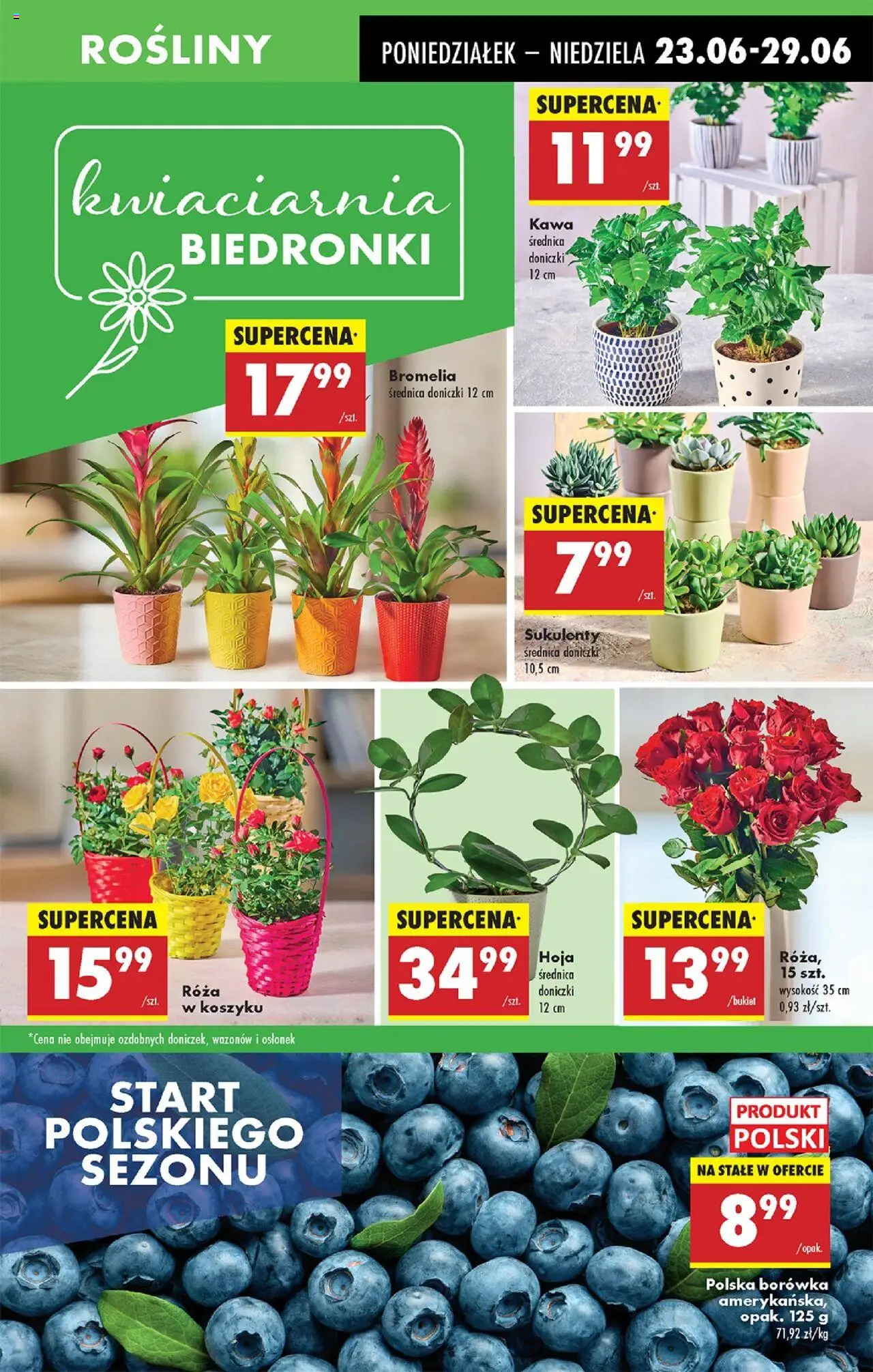 Biedronka gazetka ważna od 23.06.2025 do 29.06.2025 strona 15