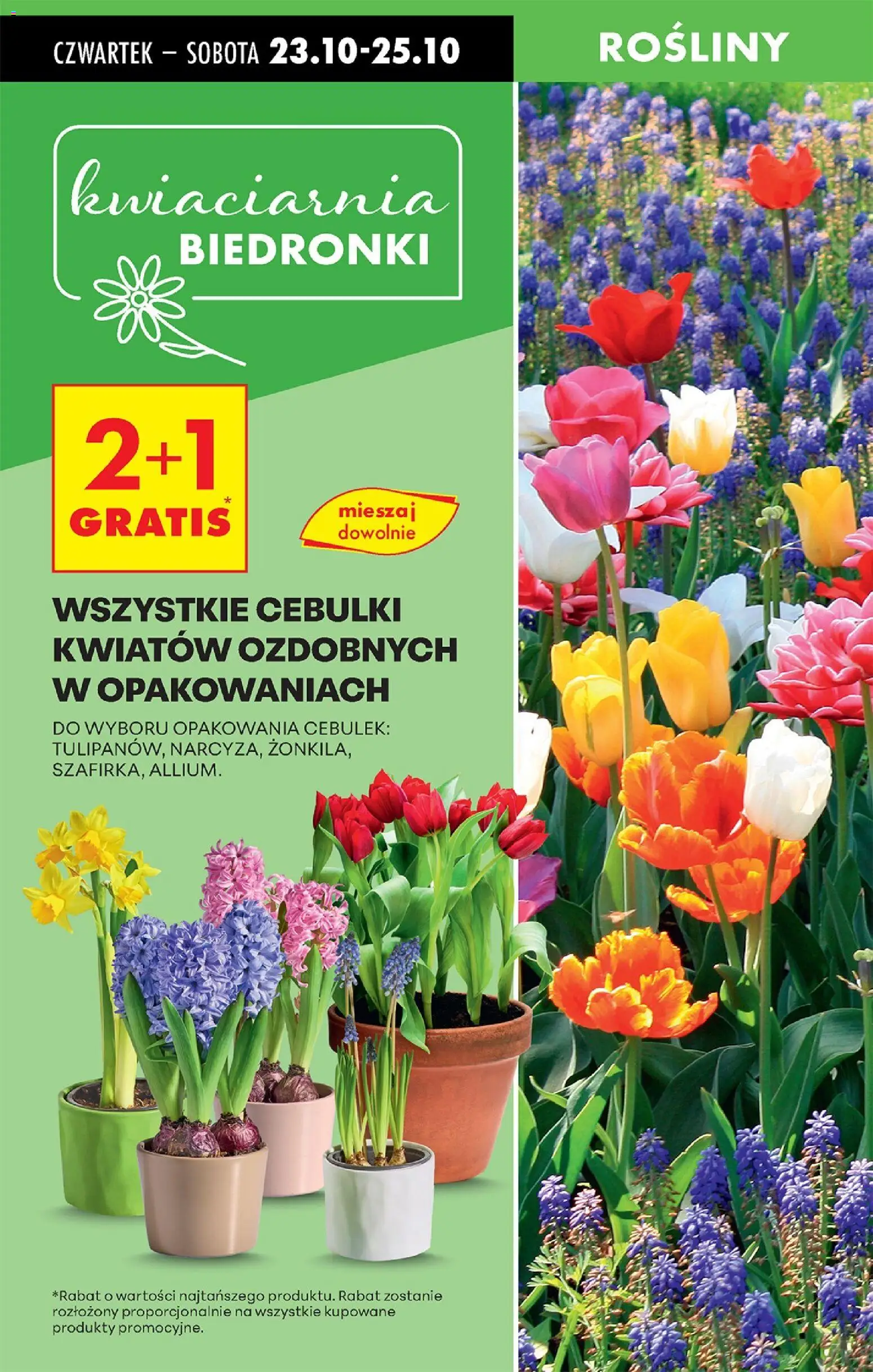 Biedronka gazetka ważna od 23.10.2025 do 29.10.2025 strona 19