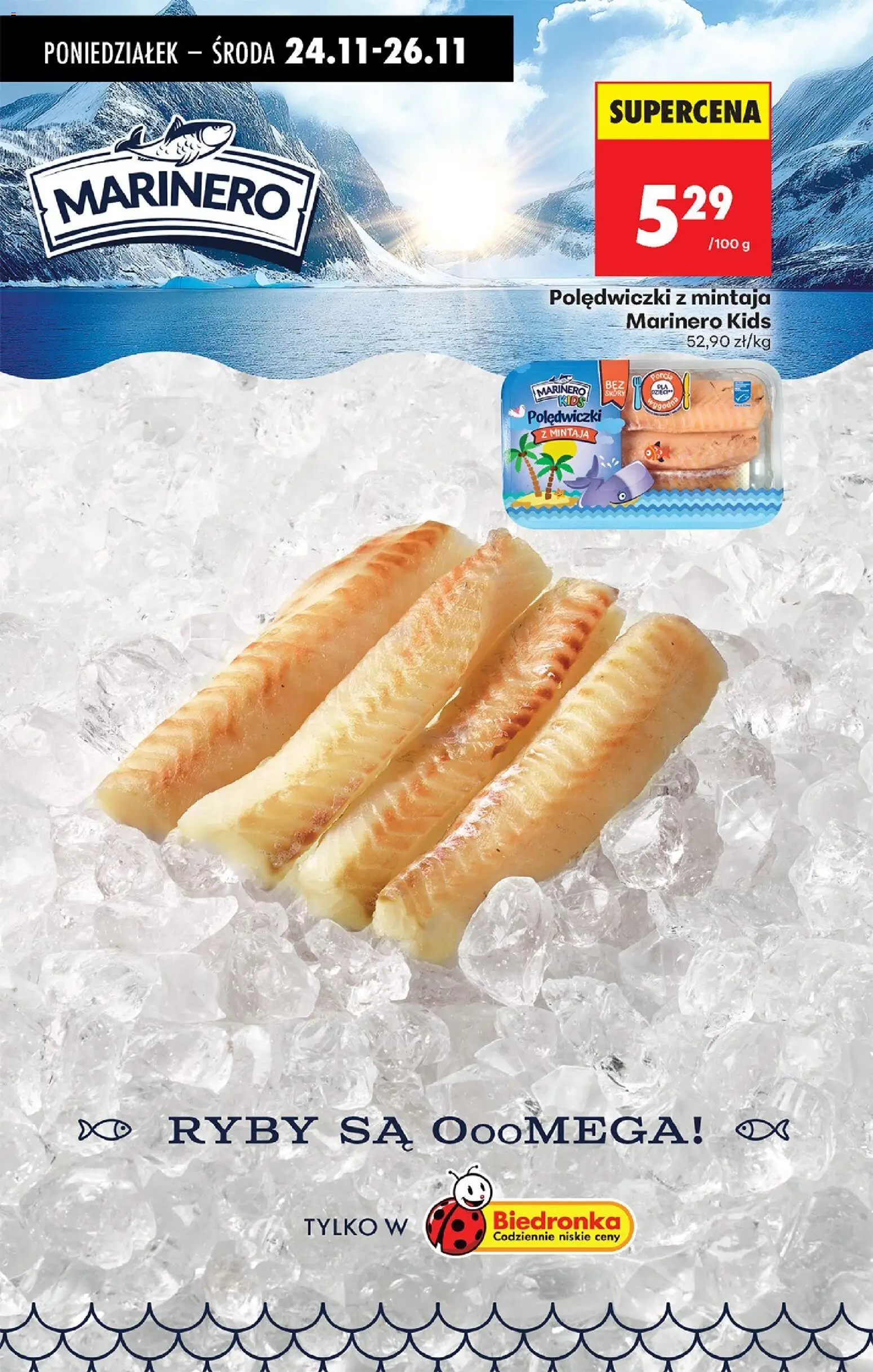 Biedronka gazetka ważna od 24.11.2025 do 29.11.2025 strona 44