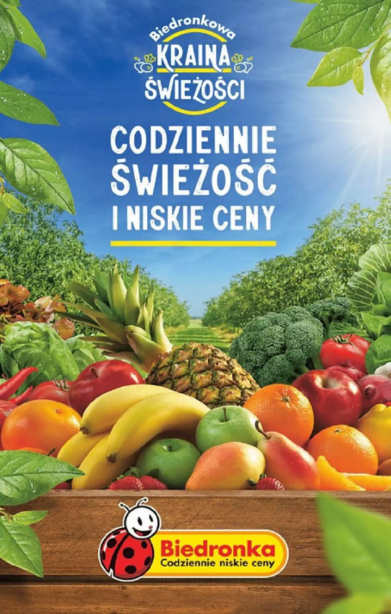 Biedronka gazetka ważna od 25.09.2023 do 30.09.2023 strona 19