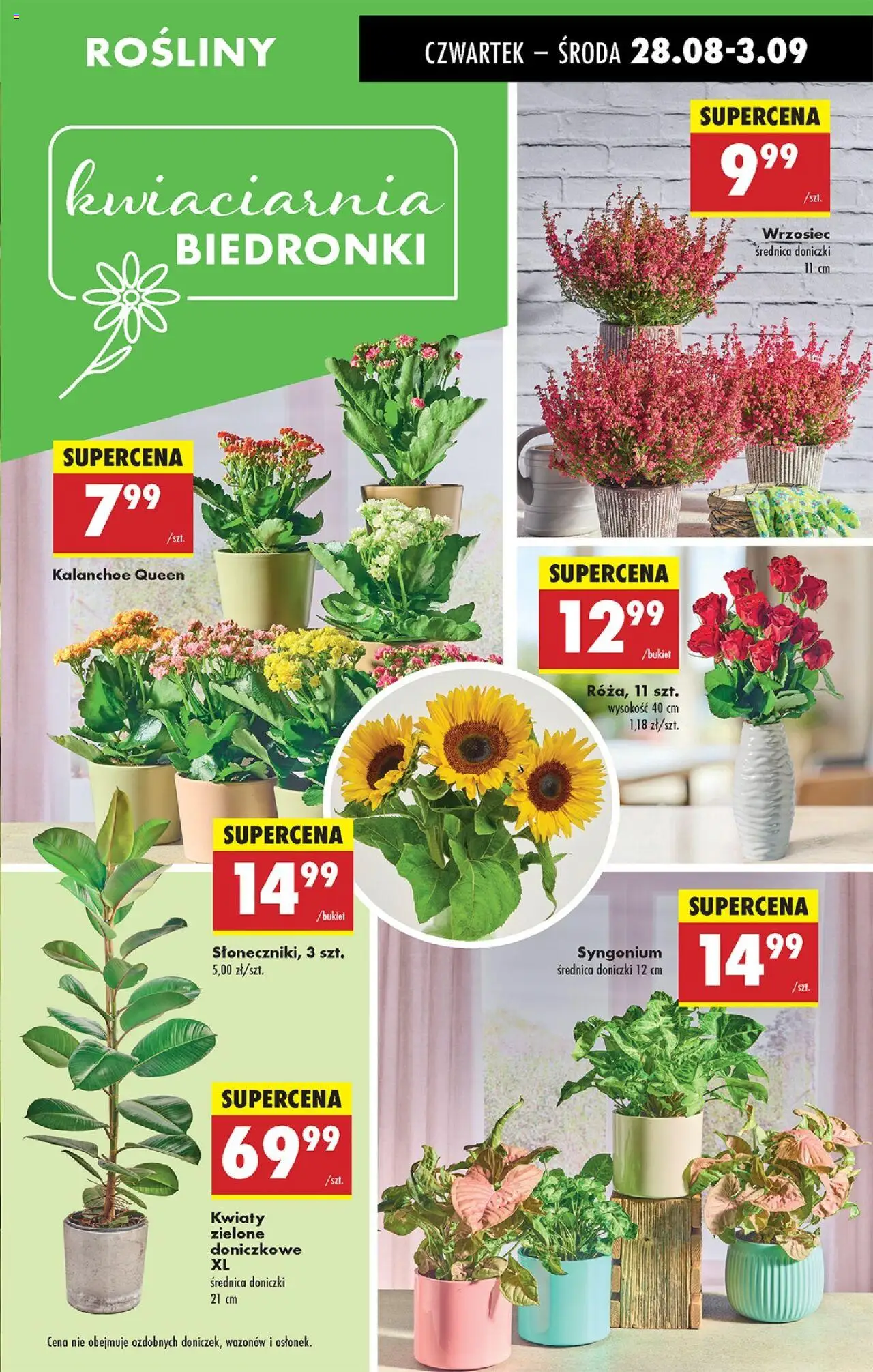 Biedronka gazetka ważna od 28.08.2025 do 03.09.2025 strona 31