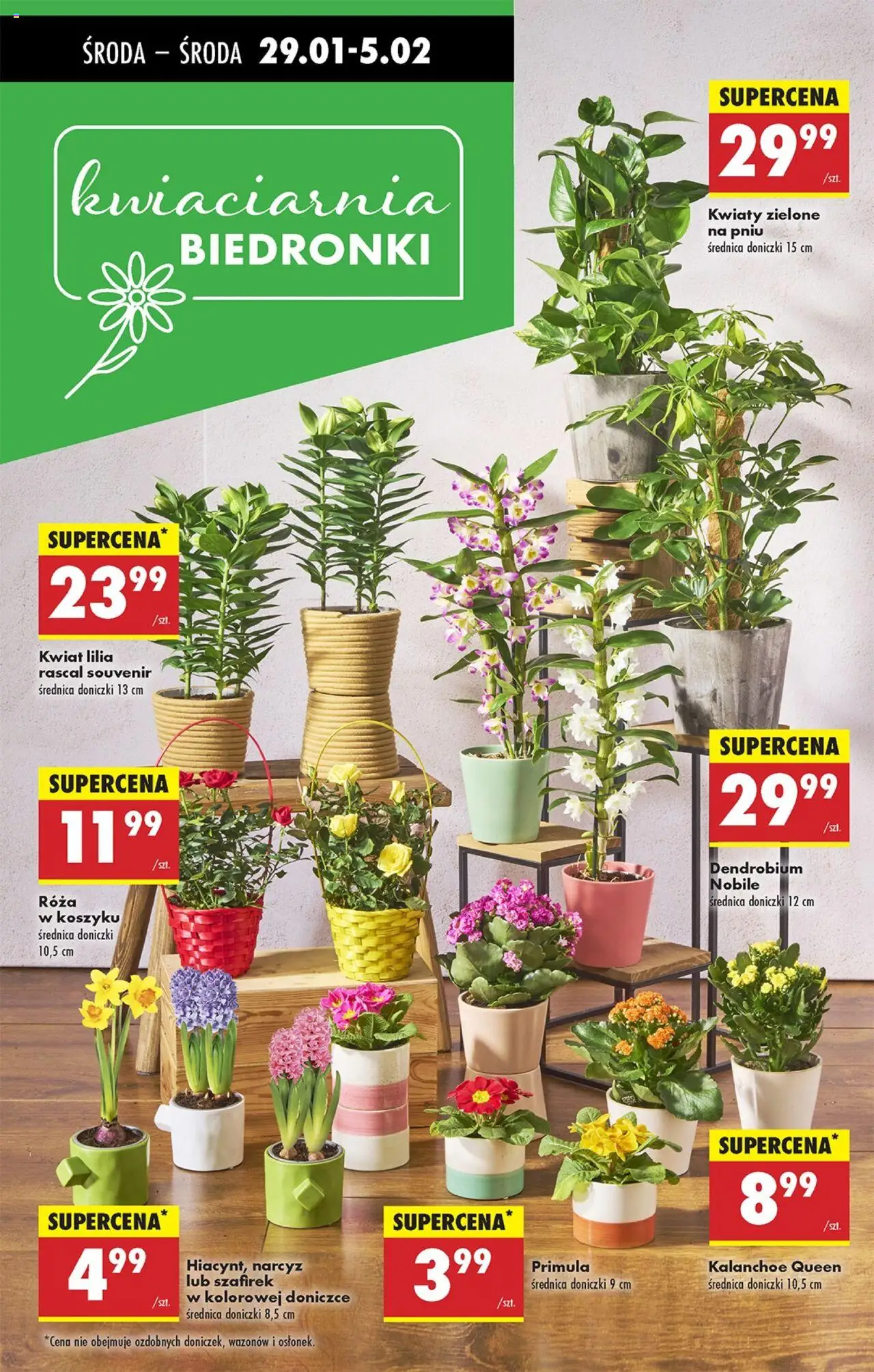 Biedronka gazetka ważna  od 29.01.2025 do 05.02.2025 strona 21