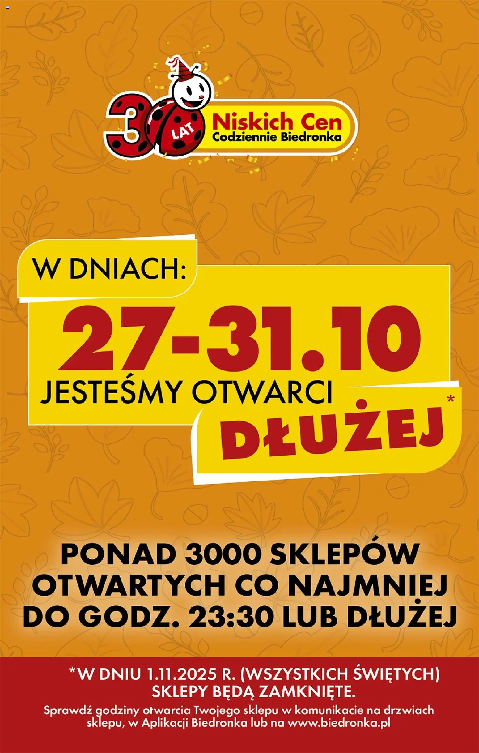 Biedronka gazetka ważna  od 29.10.2025 do 05.11.2025 strona 2