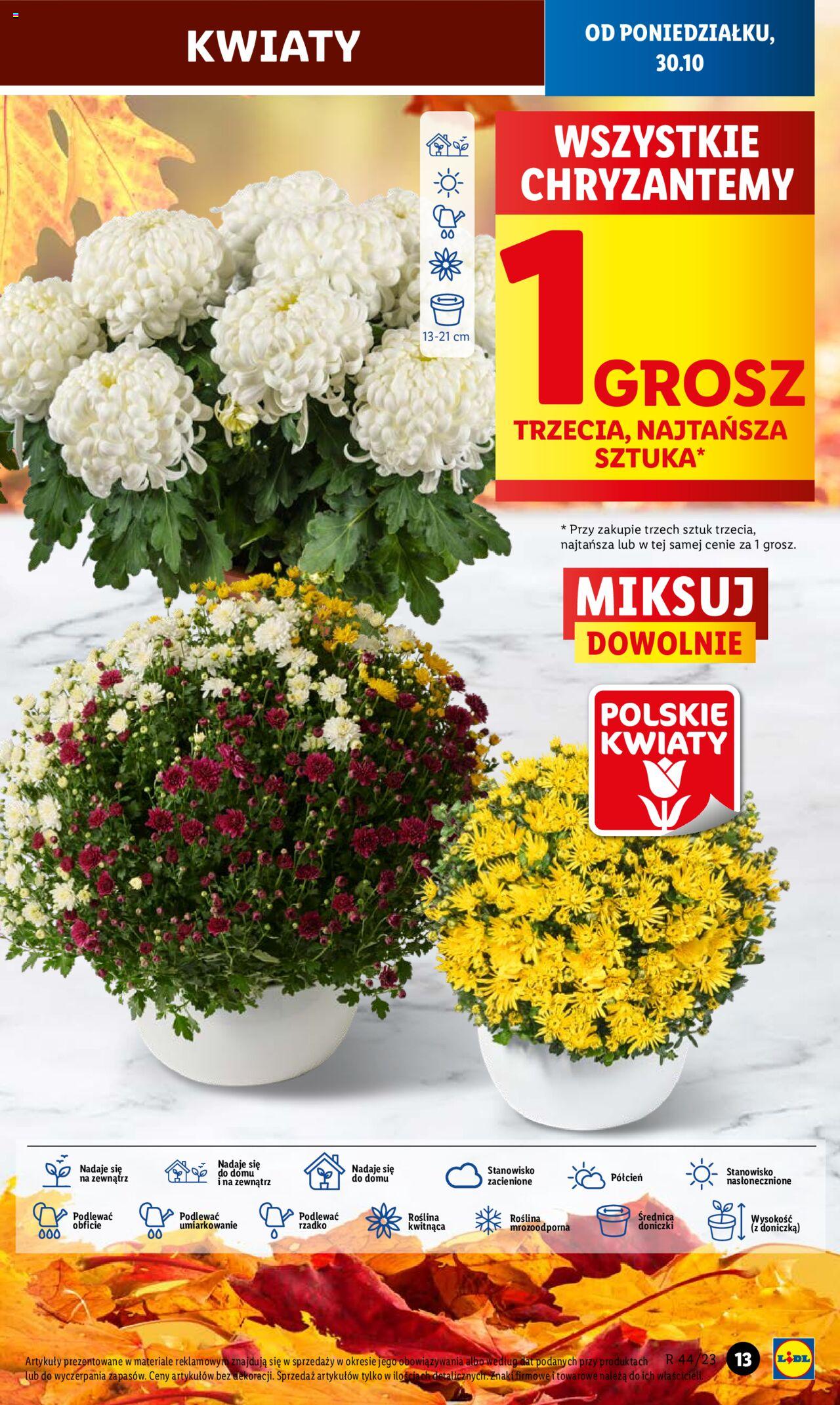 Biedronka gazetka ważna od 30.10.2023 do 04.11.2023 strona 21