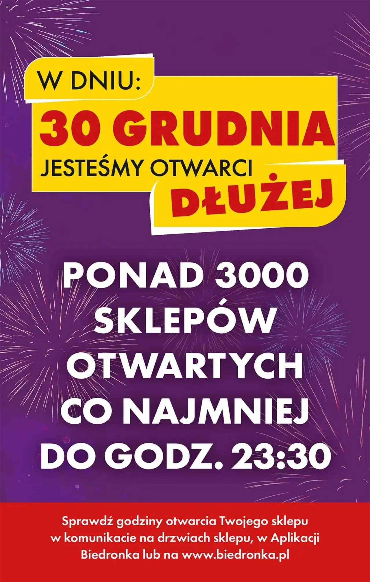 Biedronka gazetka ważna od 30.12.2024 do 04.01.2025 strona 65