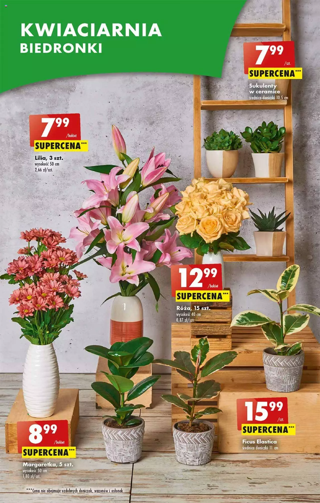 Biedronka ważna od 26.06.2023 do 01.07.2023 strona 18