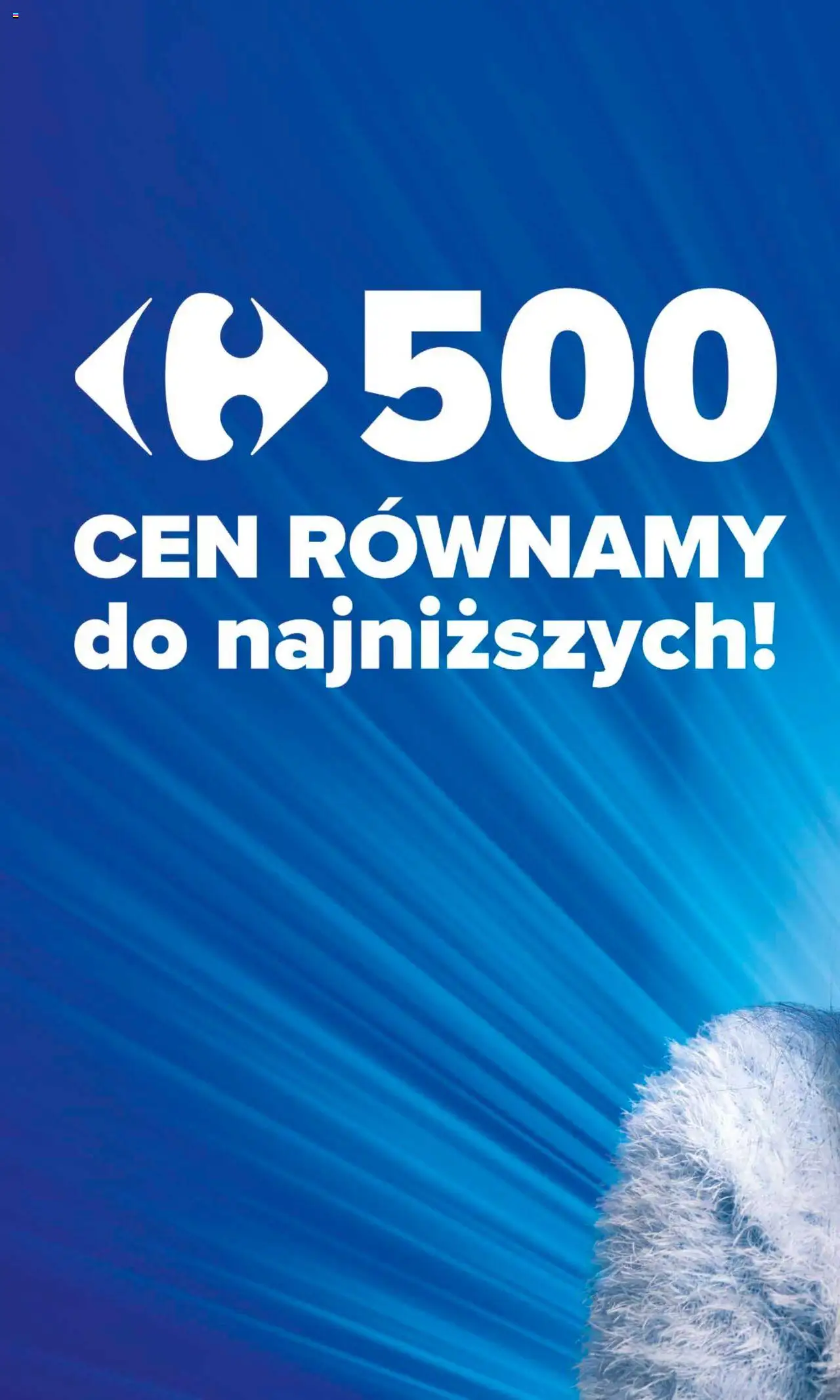 Carrefour Gazetka ważna od 03.03.2025 do 08.03.2025 strona 2