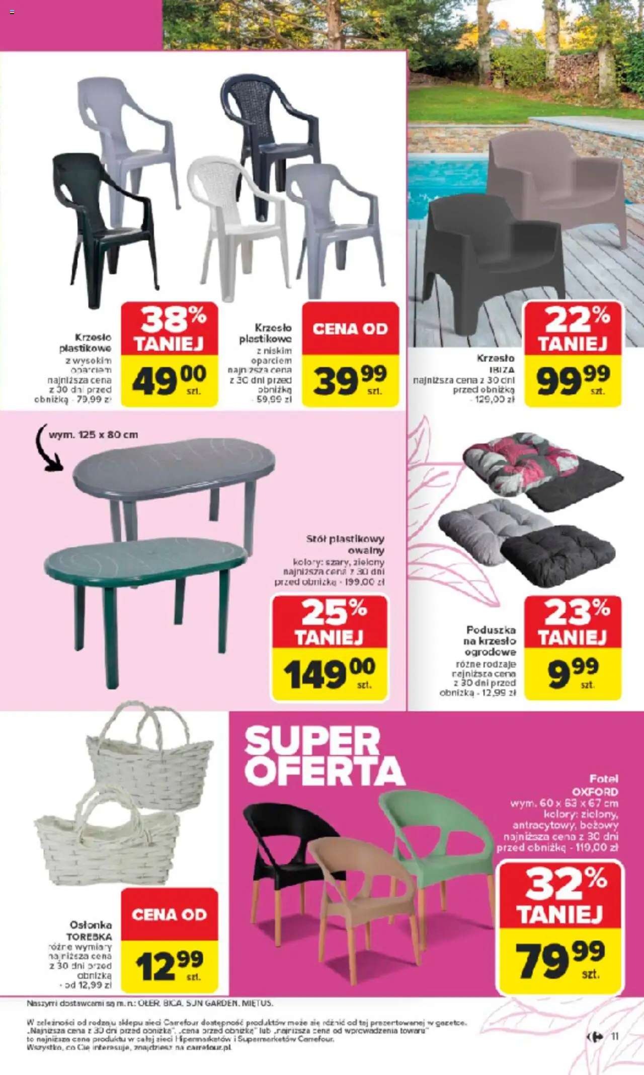 Carrefour Rozpoczynamy sezon ogrodowy Gazetka ważna od  10.03.2025 do 05.04.2025 strona 11