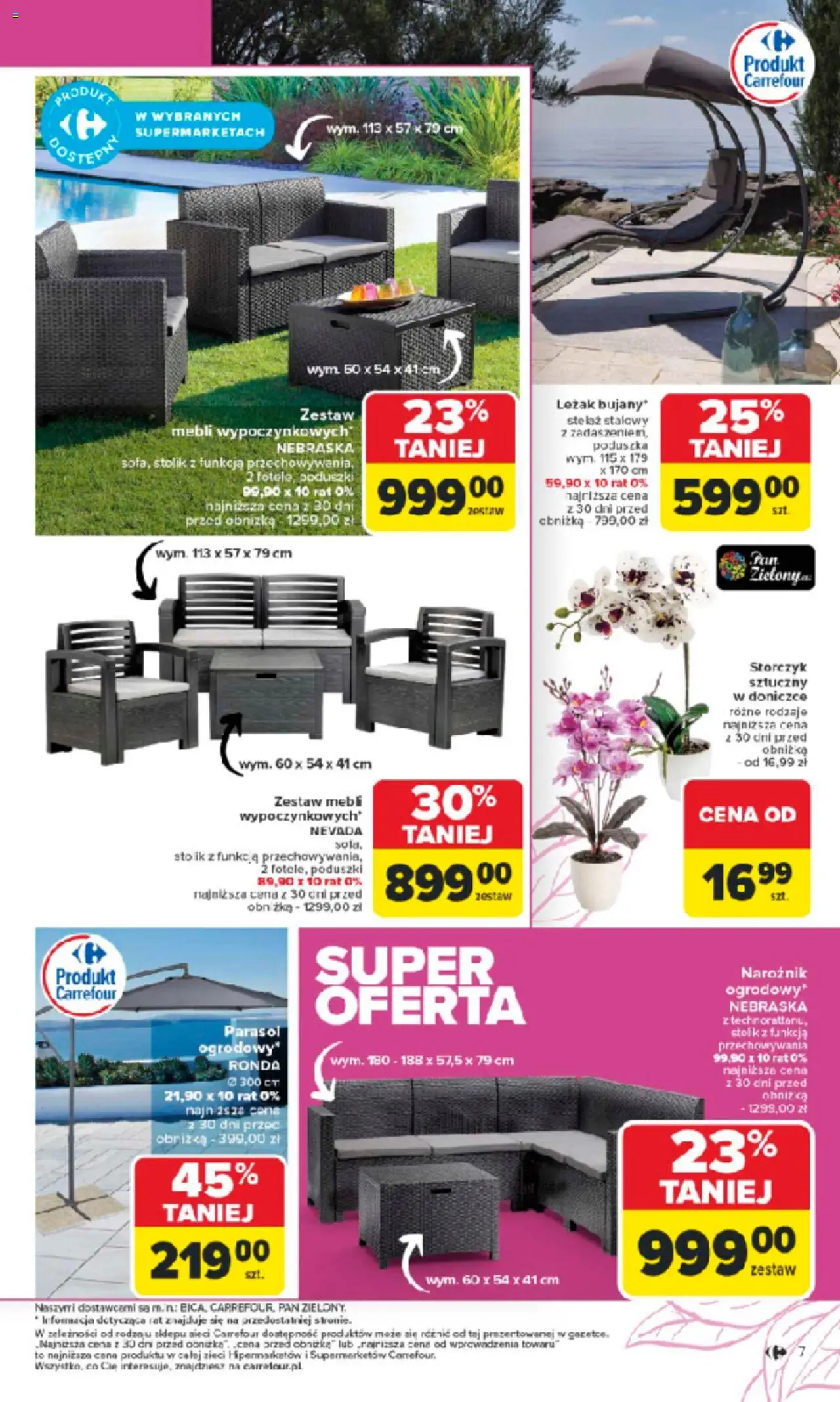 Carrefour Rozpoczynamy sezon ogrodowy Gazetka ważna od  10.03.2025 do 05.04.2025 strona 7