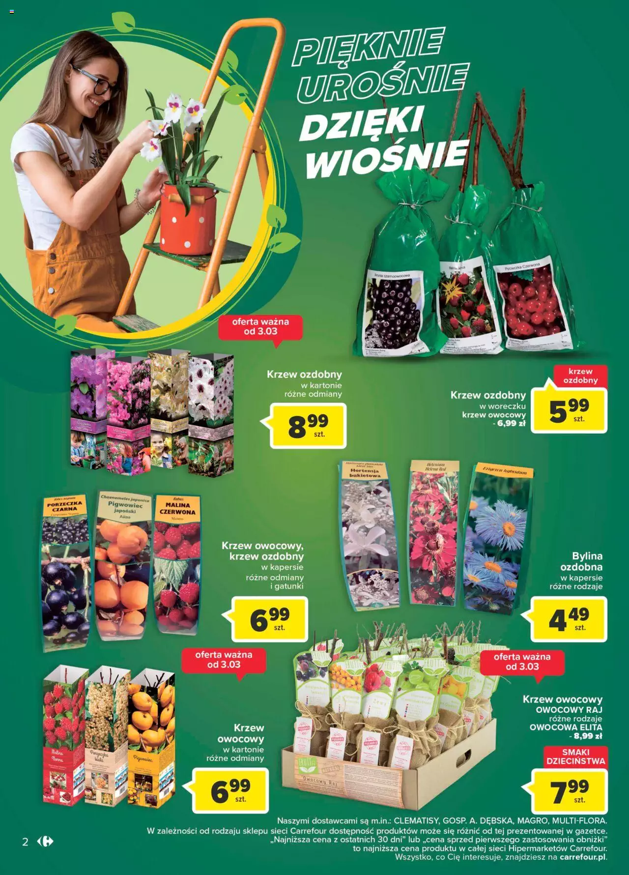 Carrefour Wiosna w ogródku gazetka ważna od 28.02.2023 do 11.03.2023 strona 4