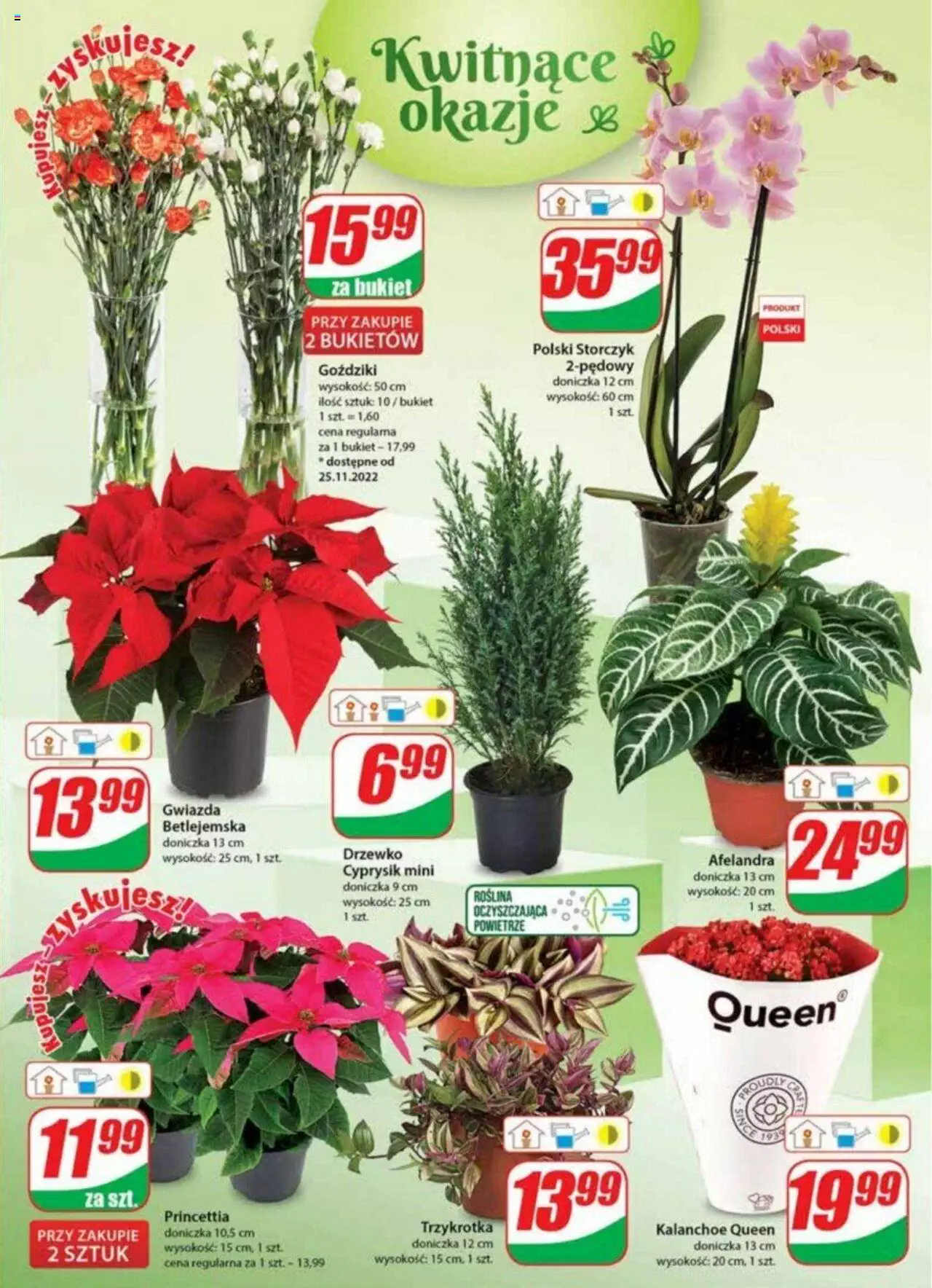 Dino gazetka BLACK FRIDAY ważna  od 23.11.2022 do 29.11.2022 strona 21