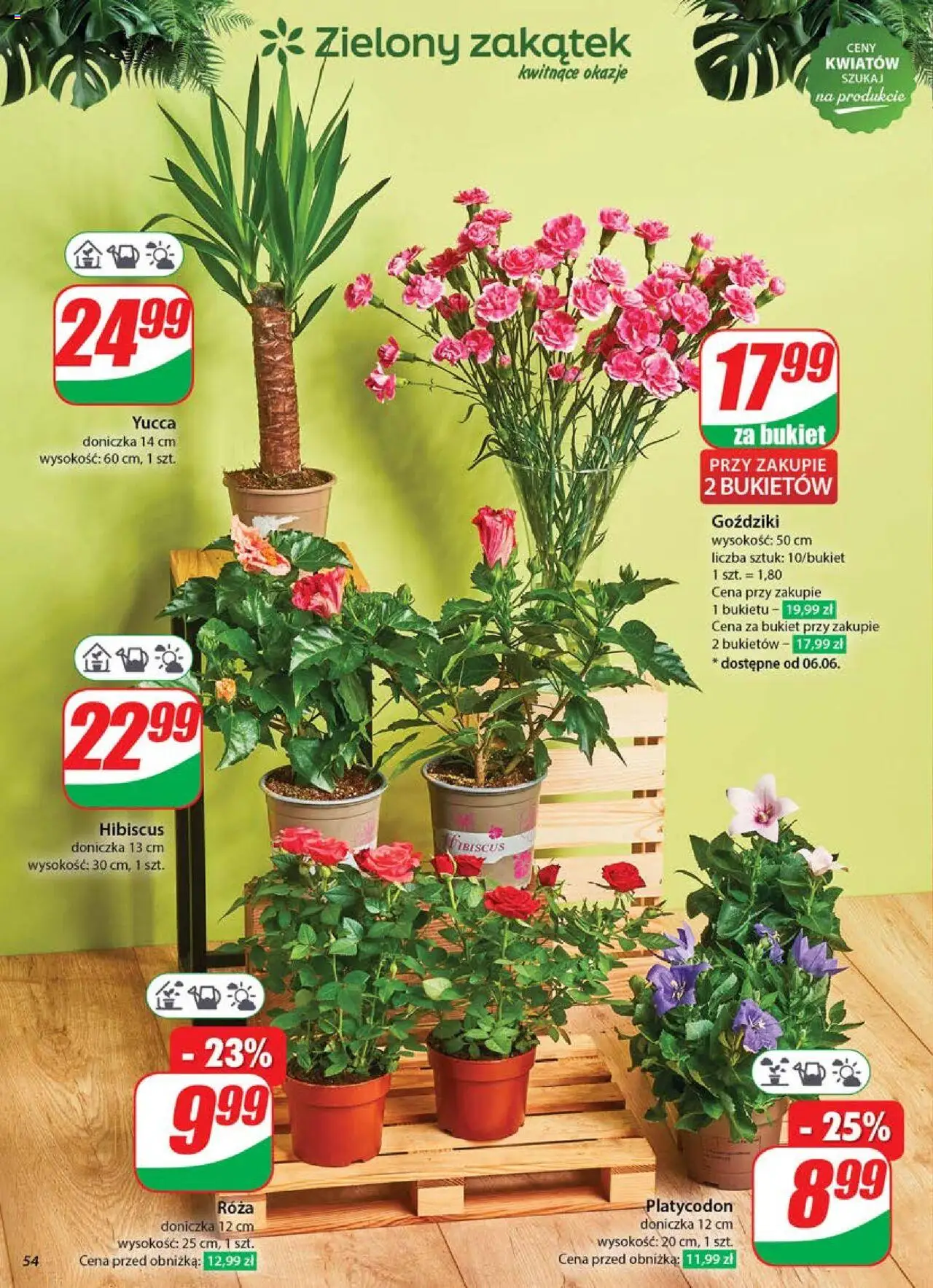 Dino gazetka ważna od 04.06.2025 do 10.06.2025 strona 54