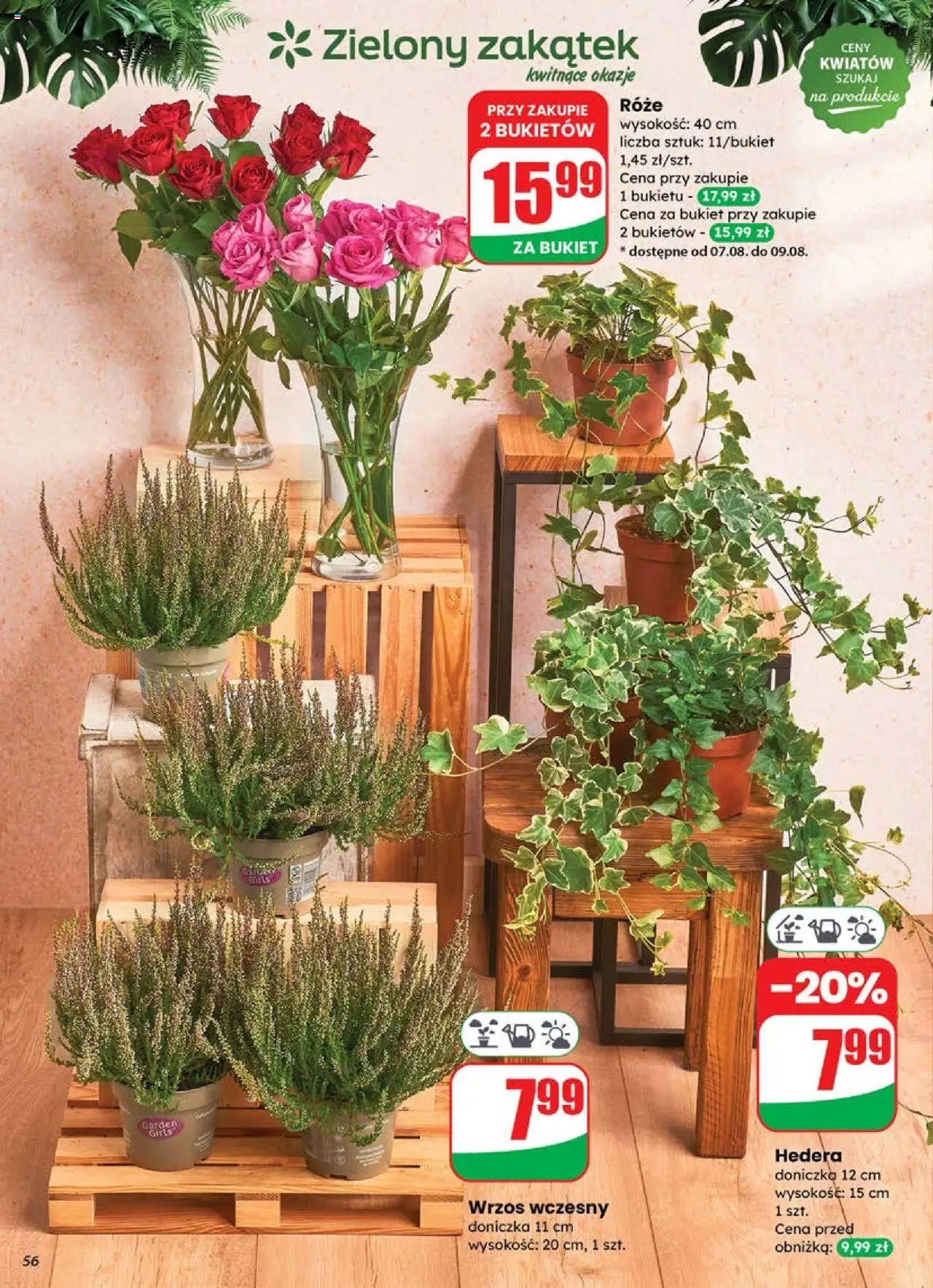Dino gazetka ważna od 06.08.2025 do 12.08.2025 strona 54
