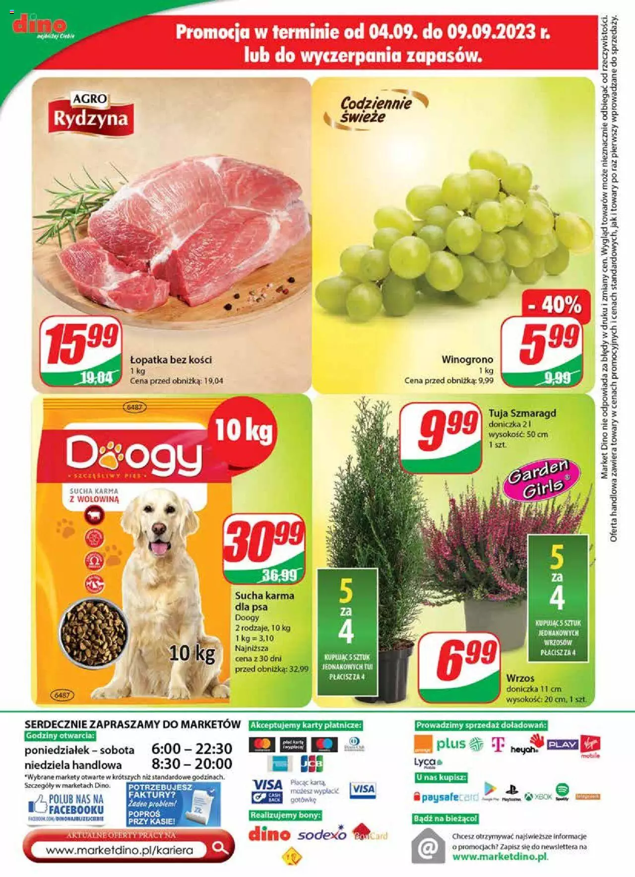 Dino gazetka ważna od 06.09.2023 do 12.09.2023 strona 23